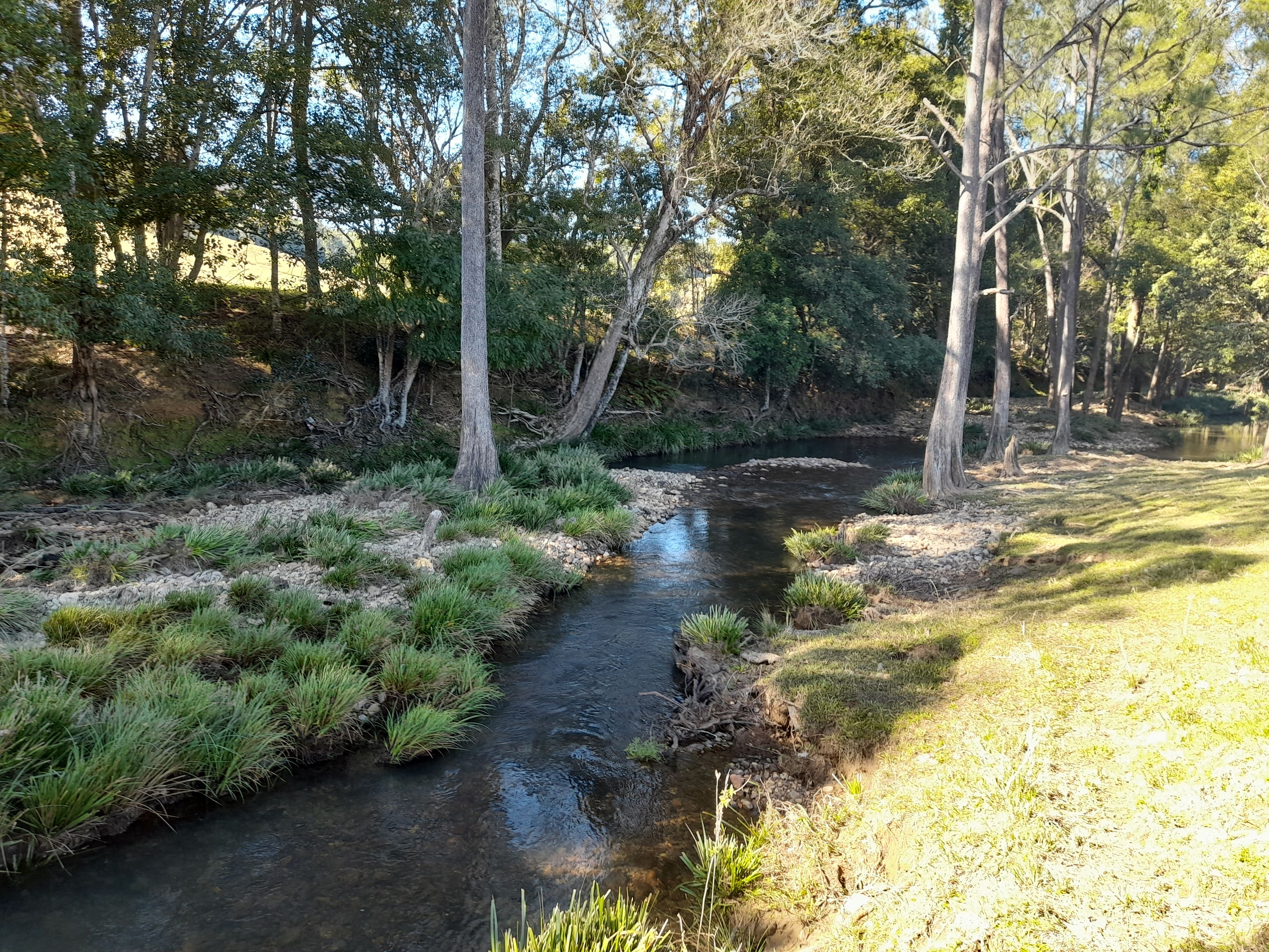 160 Upper Crystal Creek Road — photo from Ray White Rural Murwillumbah