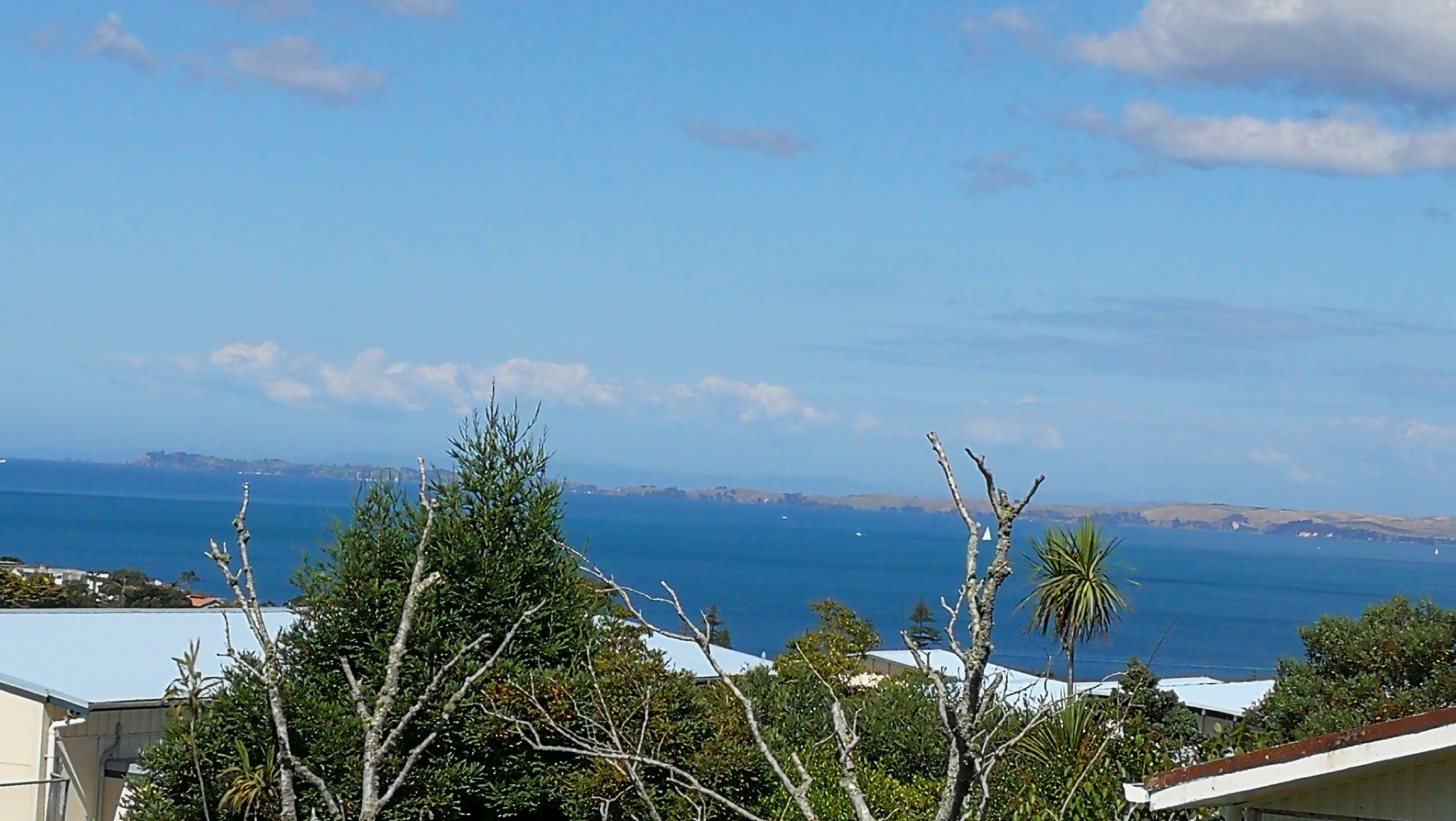 1/401 East Coast Road, Mairangi Bay, North Shore City