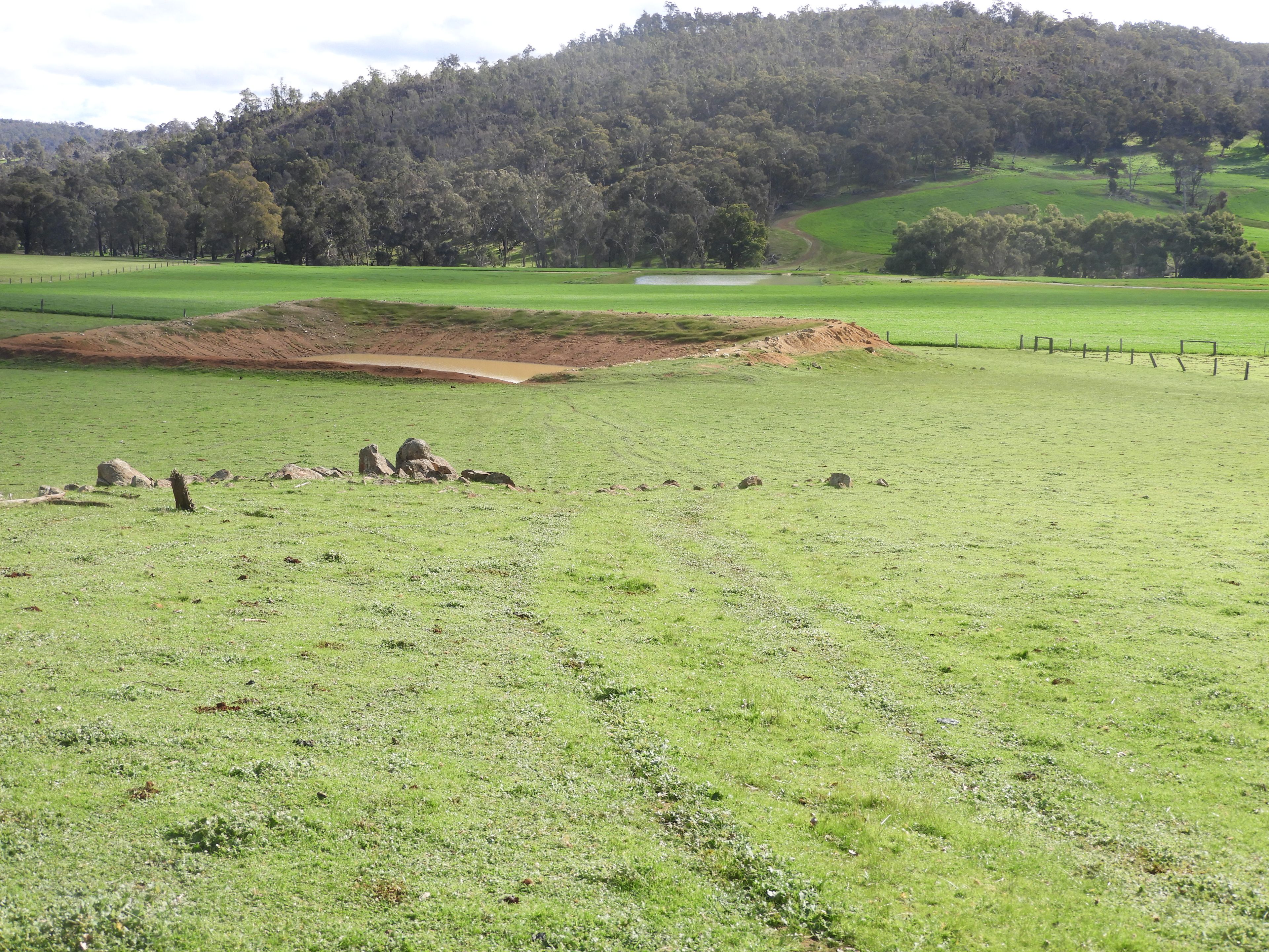 Kyellen Farm, Quindanning-Darkan Road — photo 26 of 30