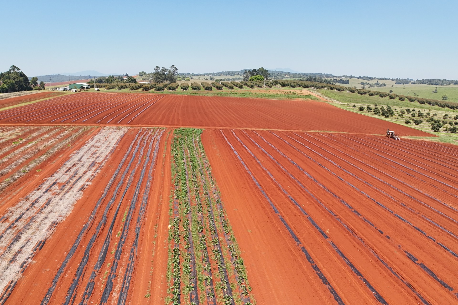 767 Peeramon Road, Peeramon, QLD 4885