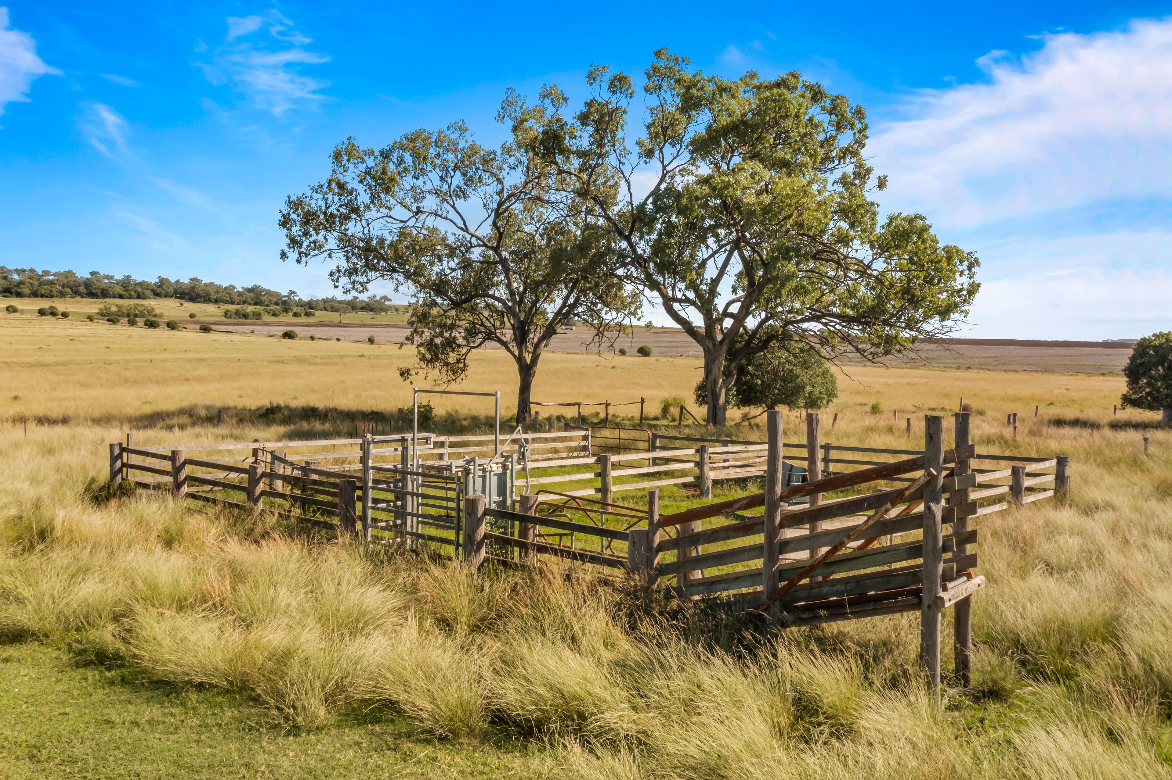372 Hegarty Road, Ellangowan, QLD 4361 Rural Cropping Property for