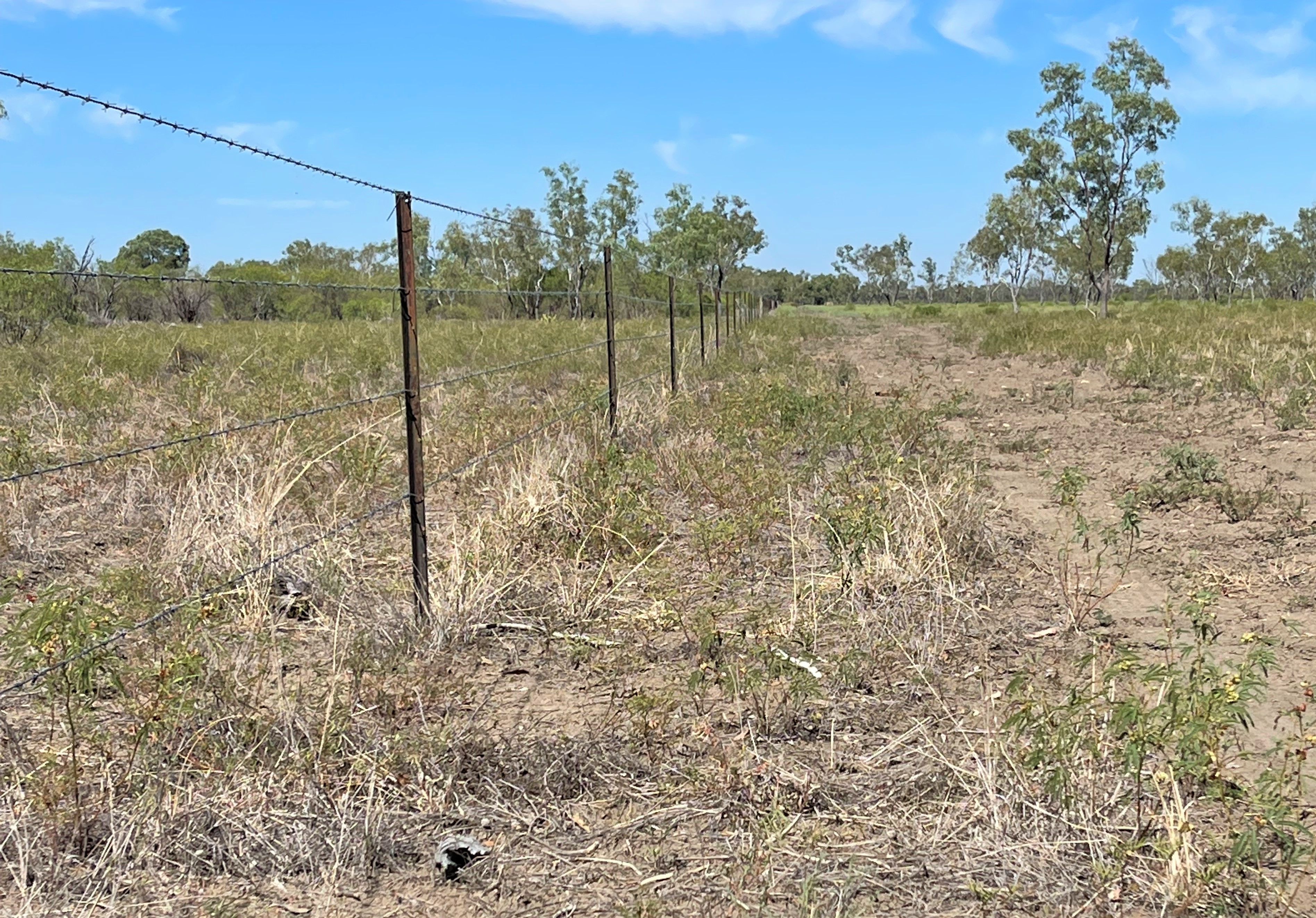 0 Capricorn Highway, Barcaldine, QLD 4725 Rural Lifestyle Property