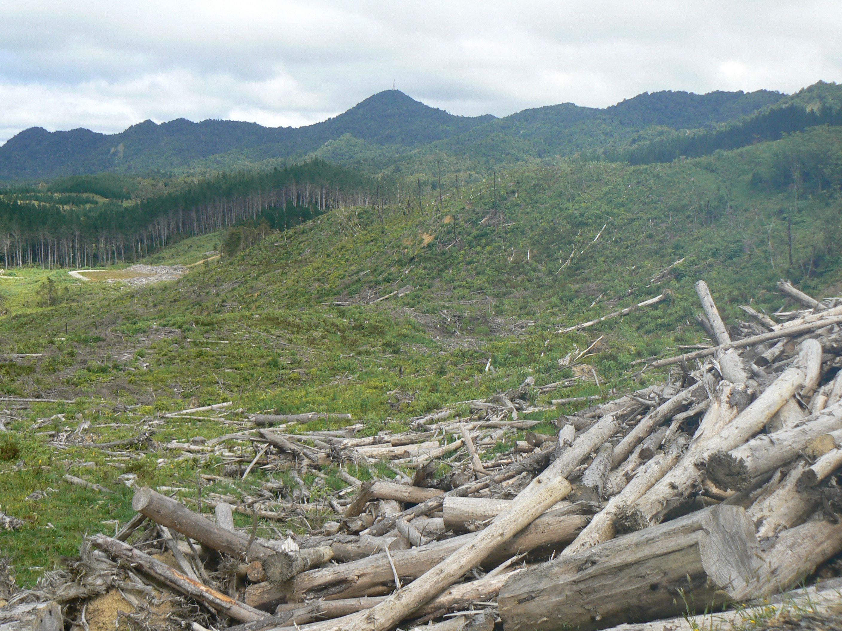 Lot 65 Stoney Creek Road, Kaikohe, Far North District