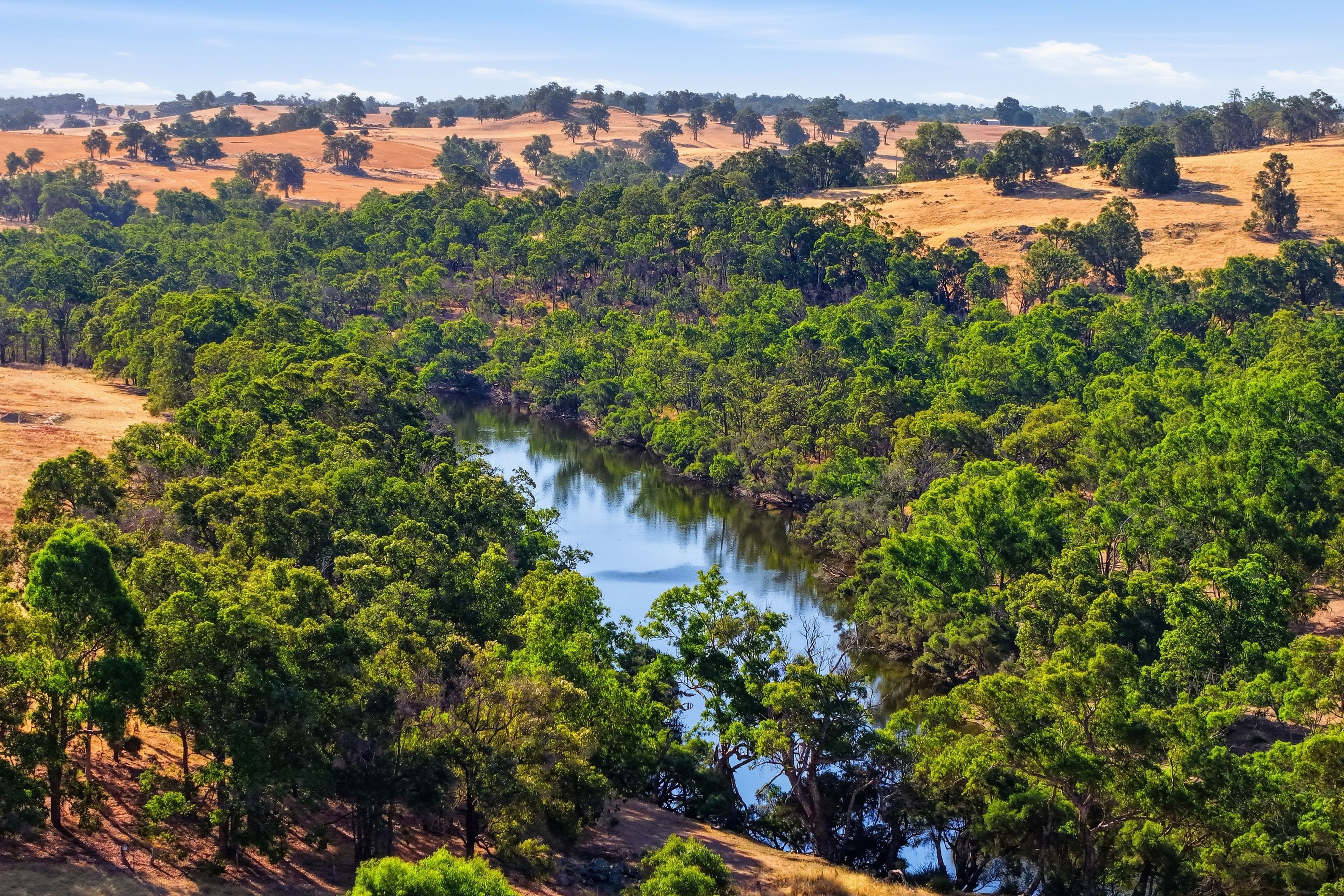 Lot 51 Terry Road, Boyup Brook, WA 6244