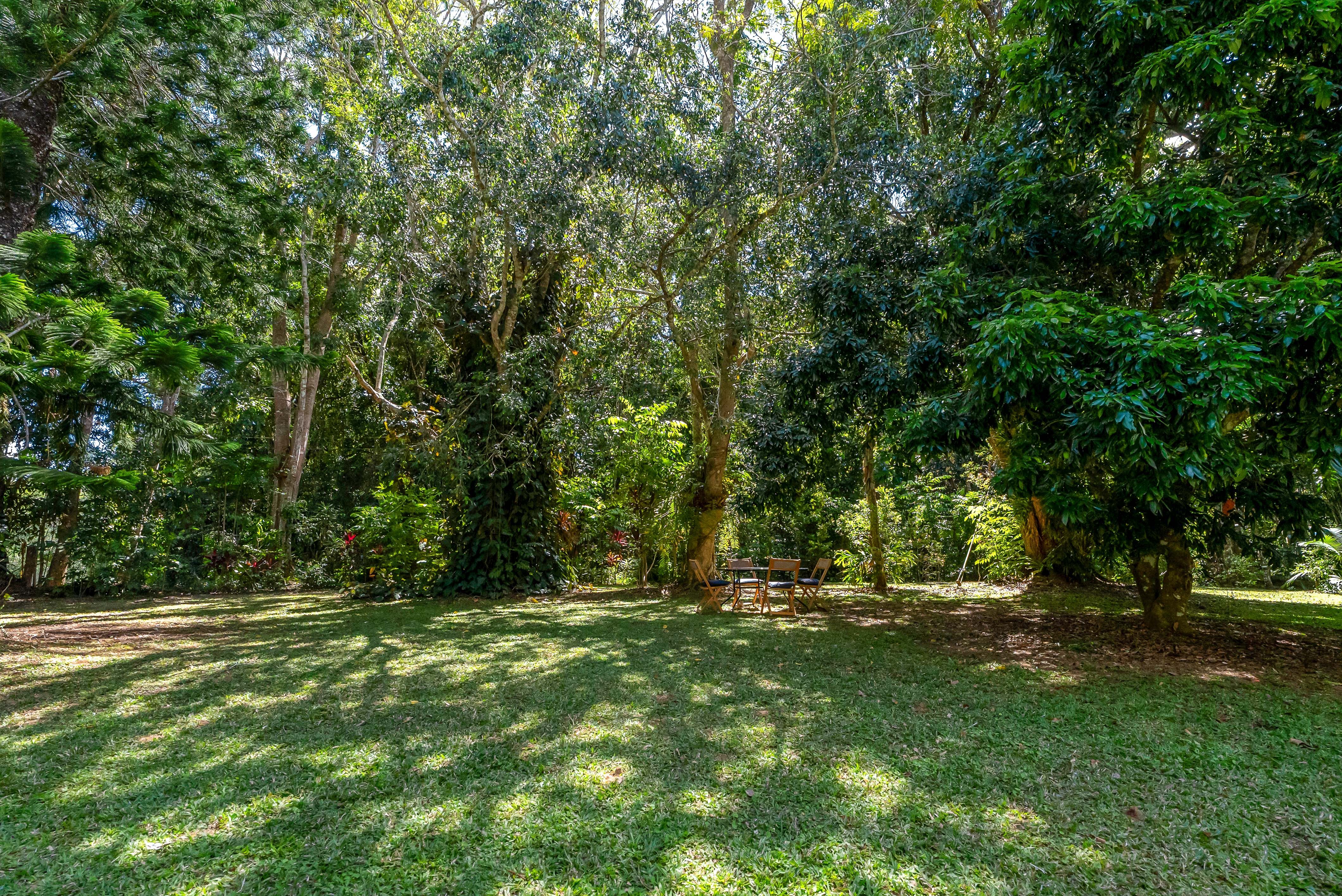 59 High Chapparal Road — photo 6 of 30