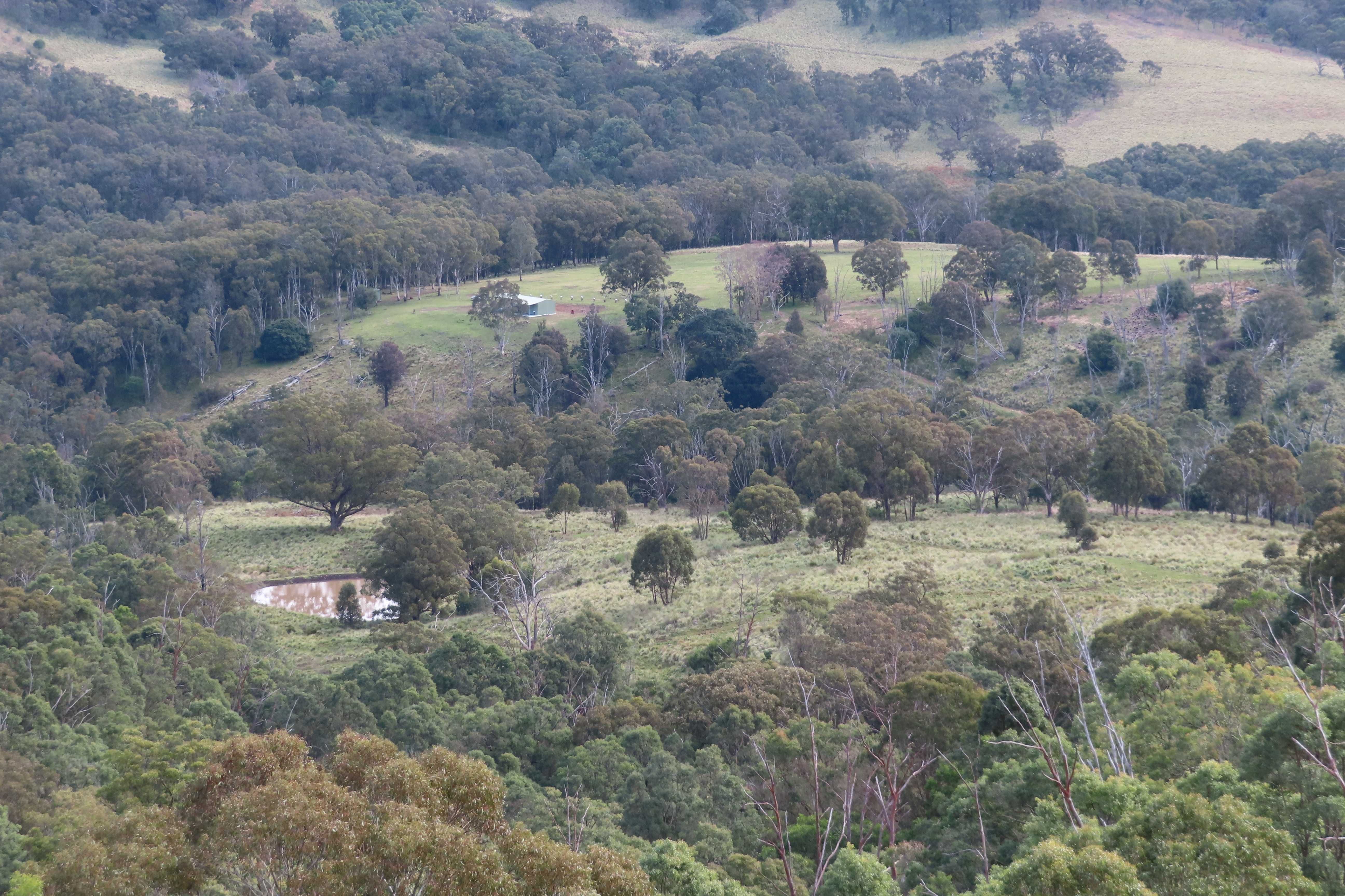 1060 Dry Creek Road, Scone, NSW 2337