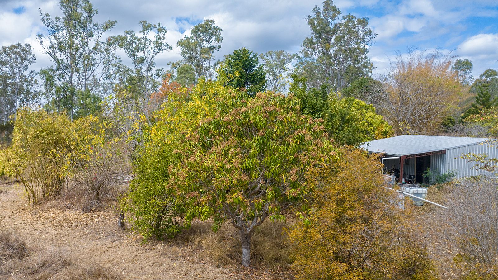 342 Tableland Road — photo 10 of 17