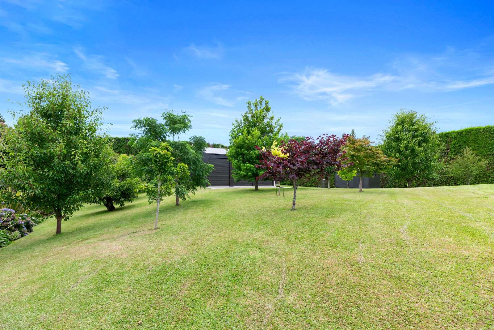 388E Joyce Road photo 46