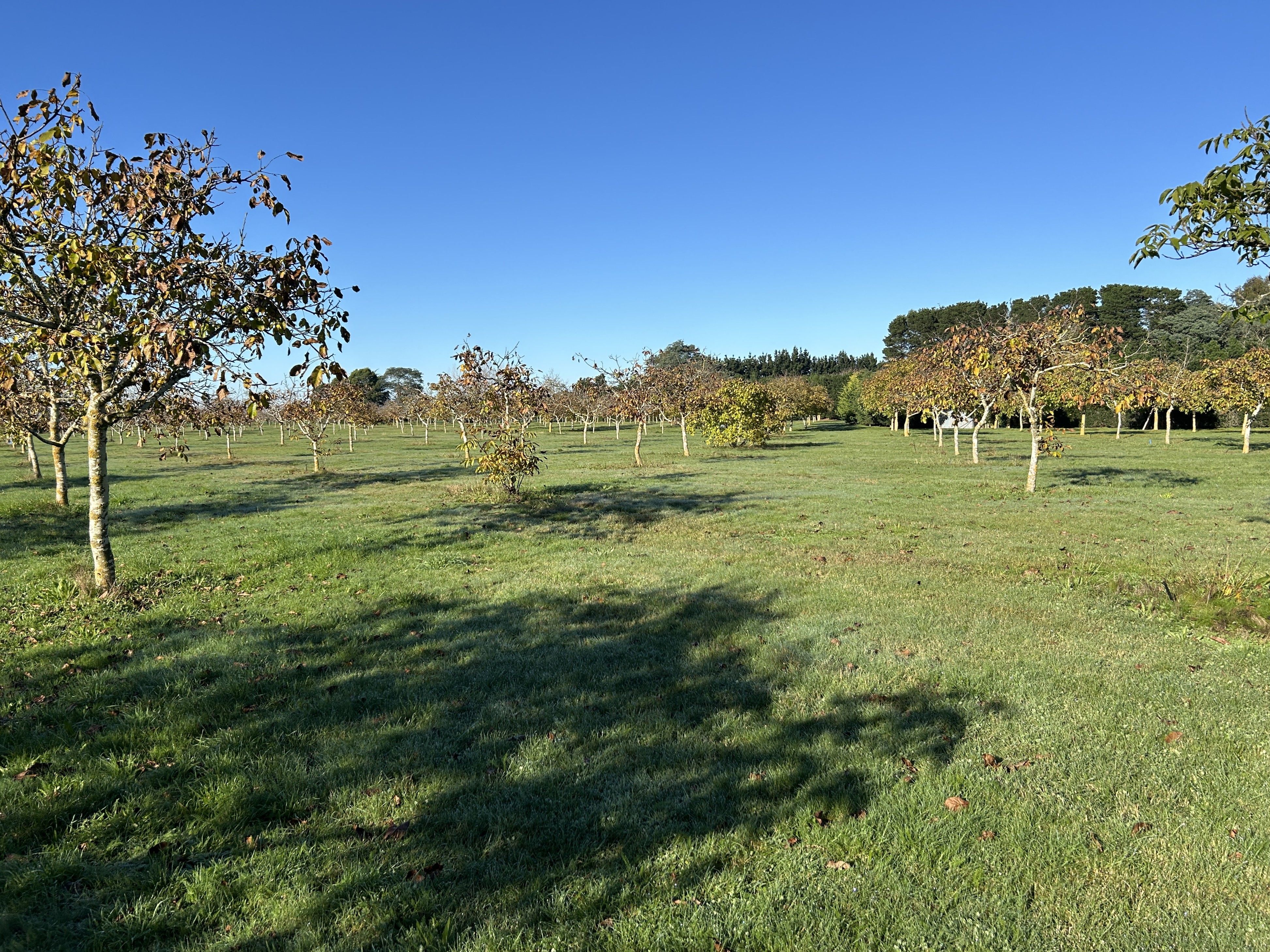 4/524 Weedons Road, Rolleston, Selwyn District