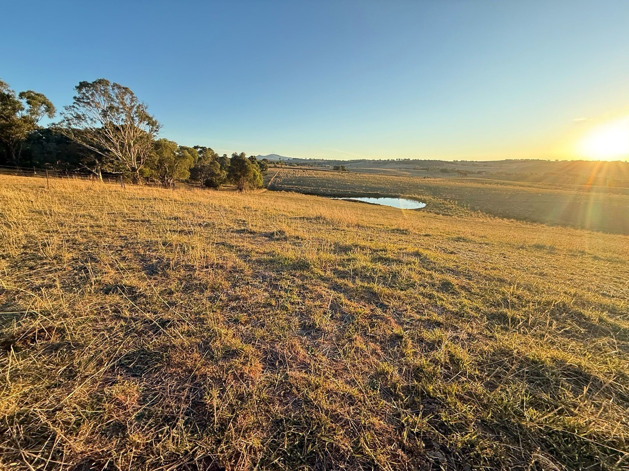 616 Mitchell Highway, Orange, NSW 2800