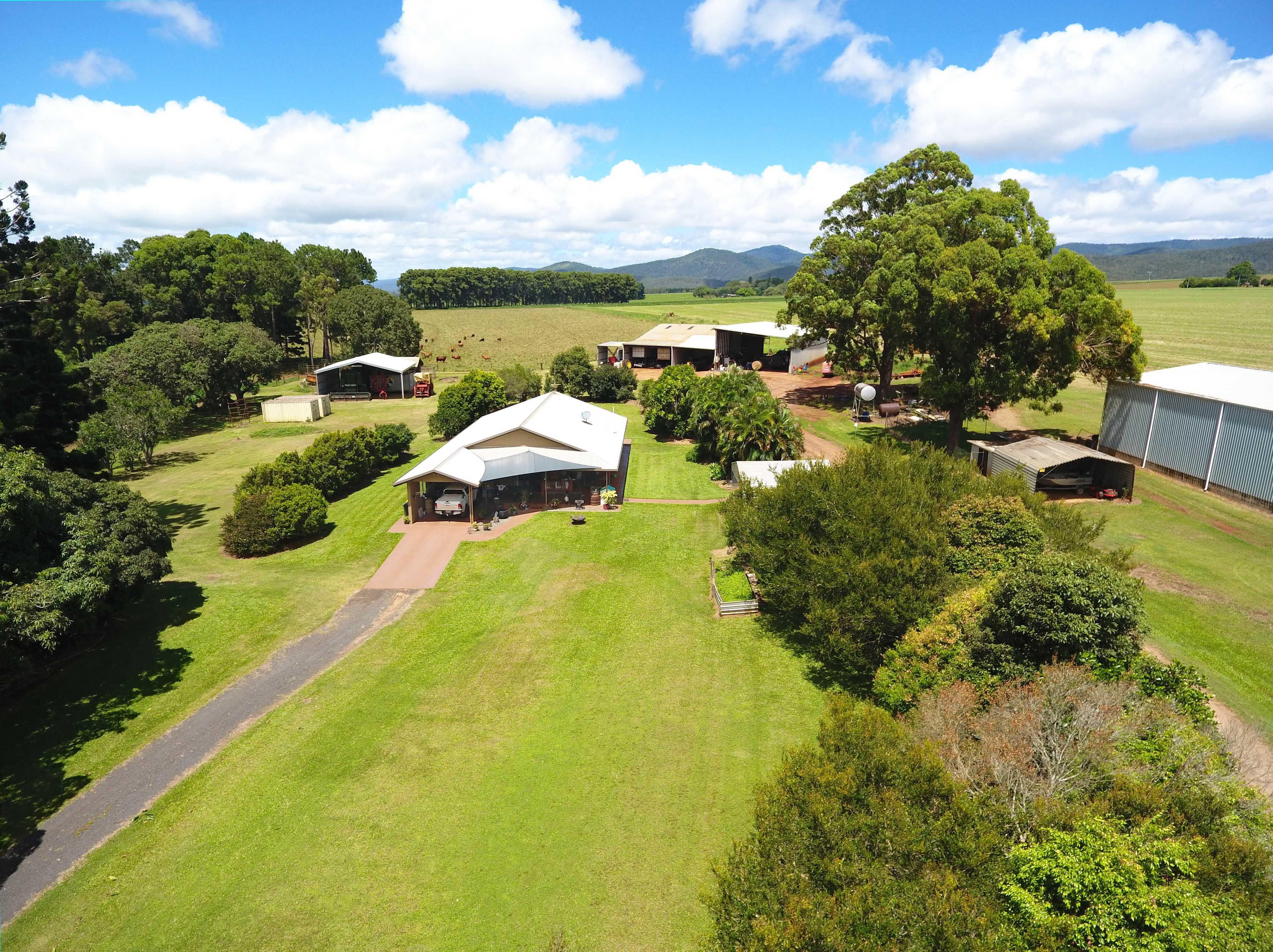 Tolga, QLD 4882 Rural Cropping Property for Sale Ray White Rural