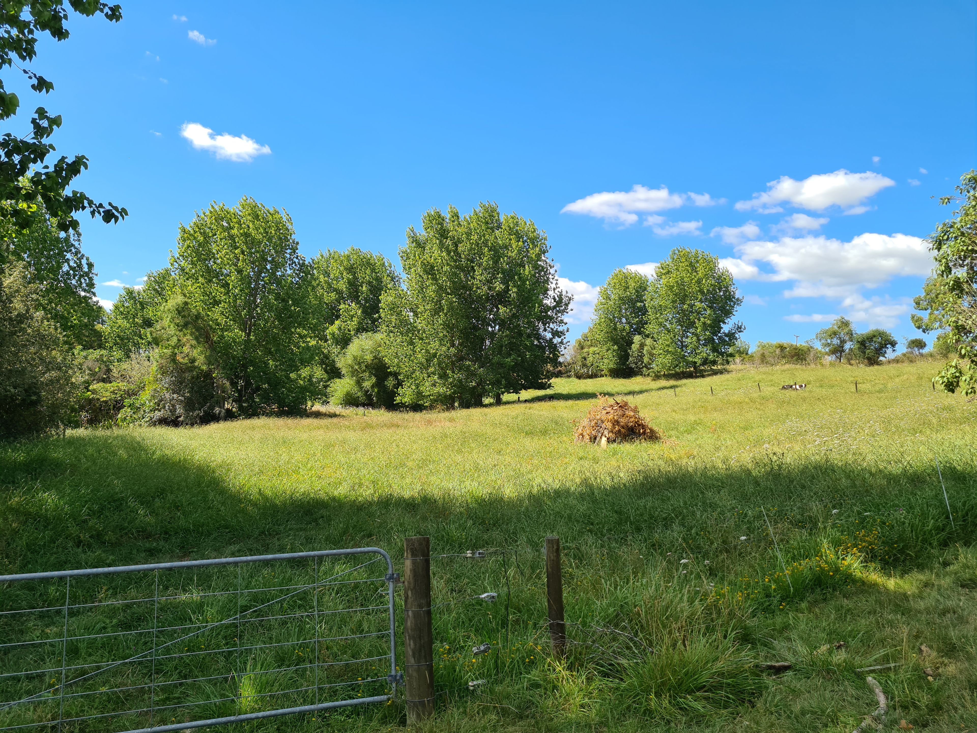 75 Homestead Lane, Kaiwaka, Kaipara District
