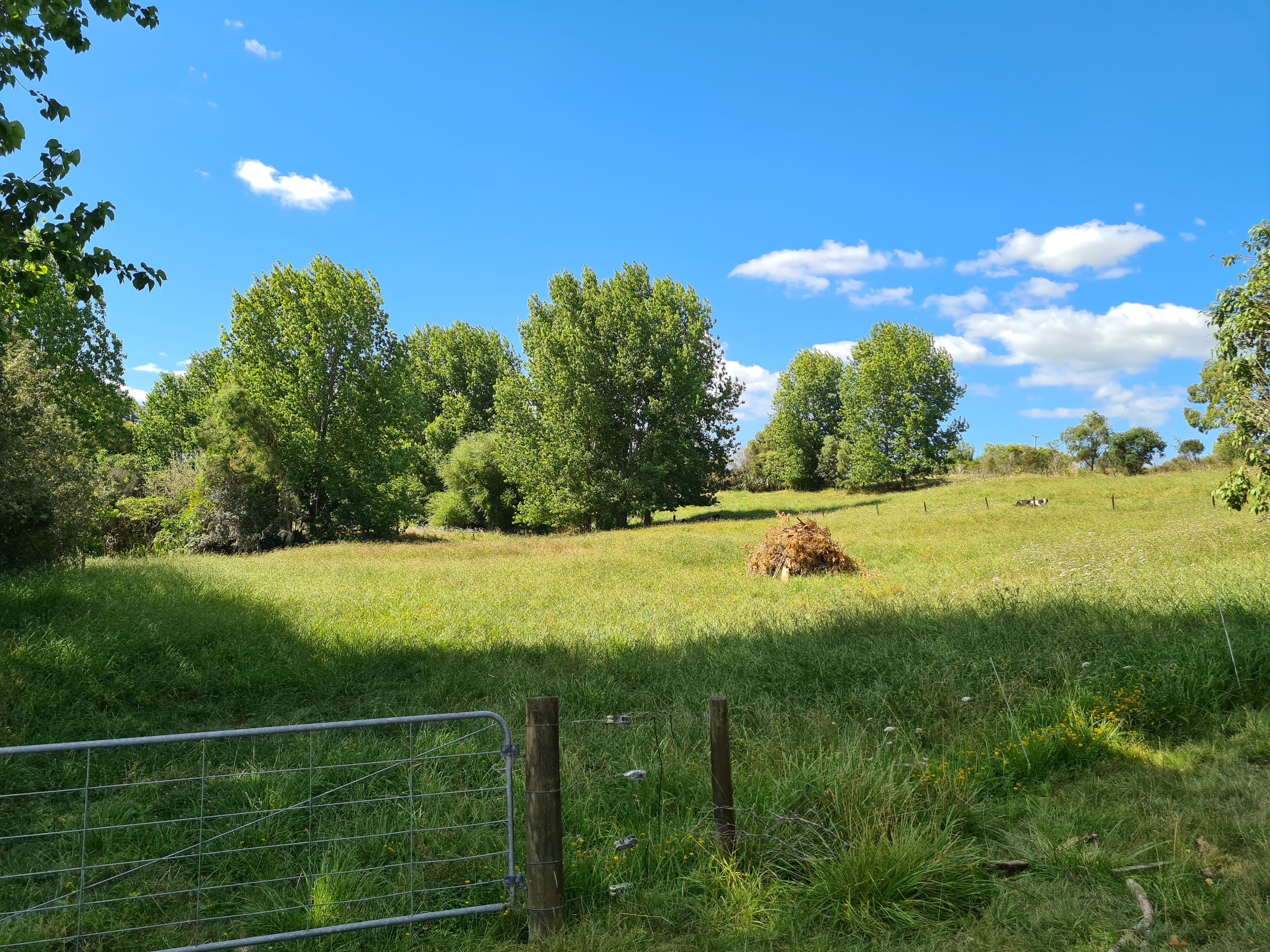 75 Homestead Lane, Kaiwaka, Kaipara District