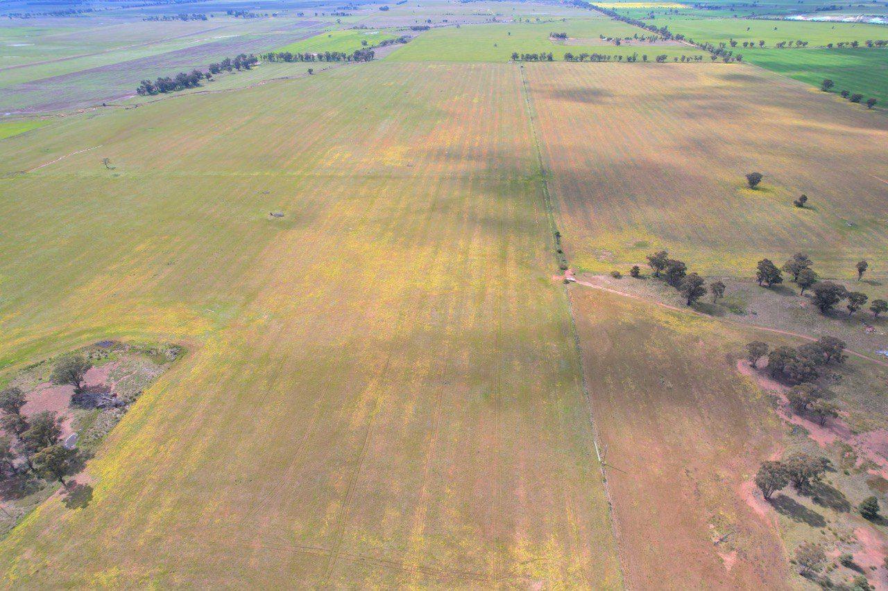'Golden Acres' 416 Mid Western Highway, West Wyalong, NSW 2671