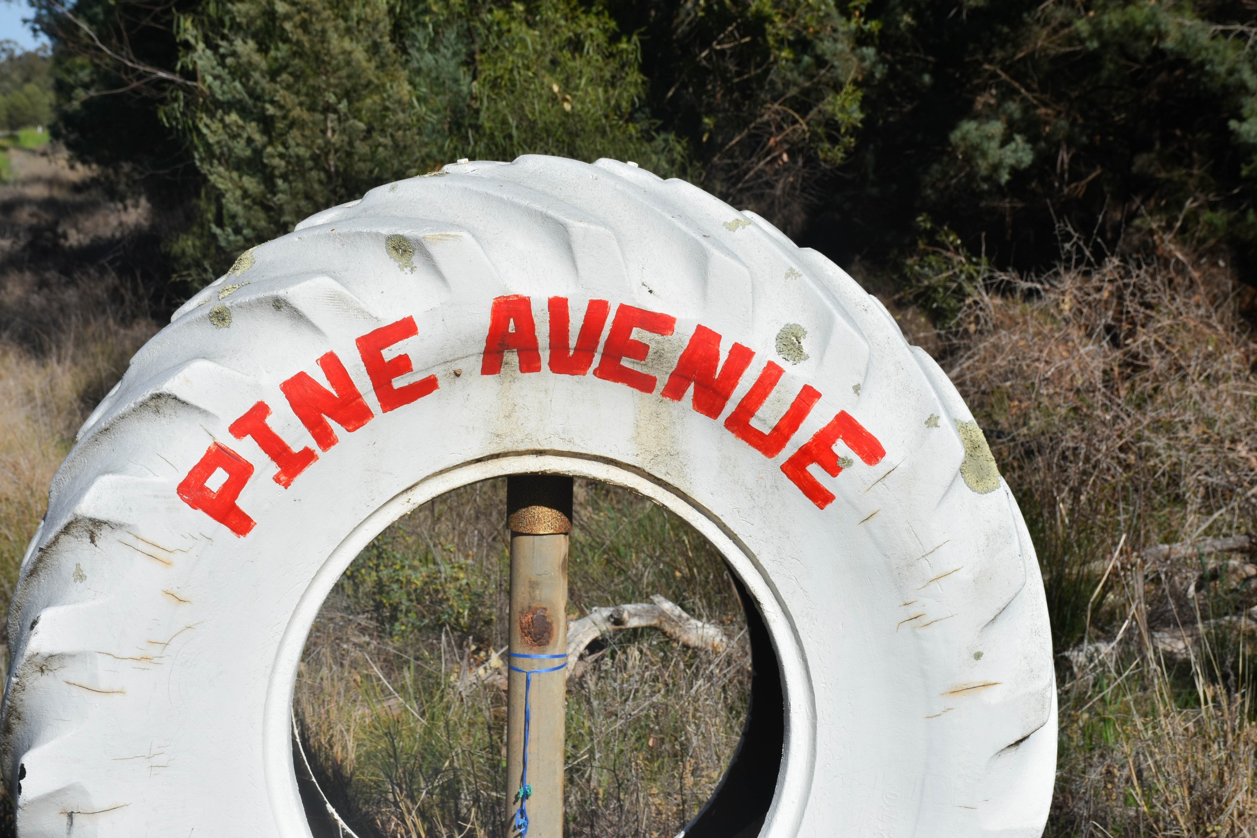 2666 Henry Parkes Way, Gunningbland, NSW 2876