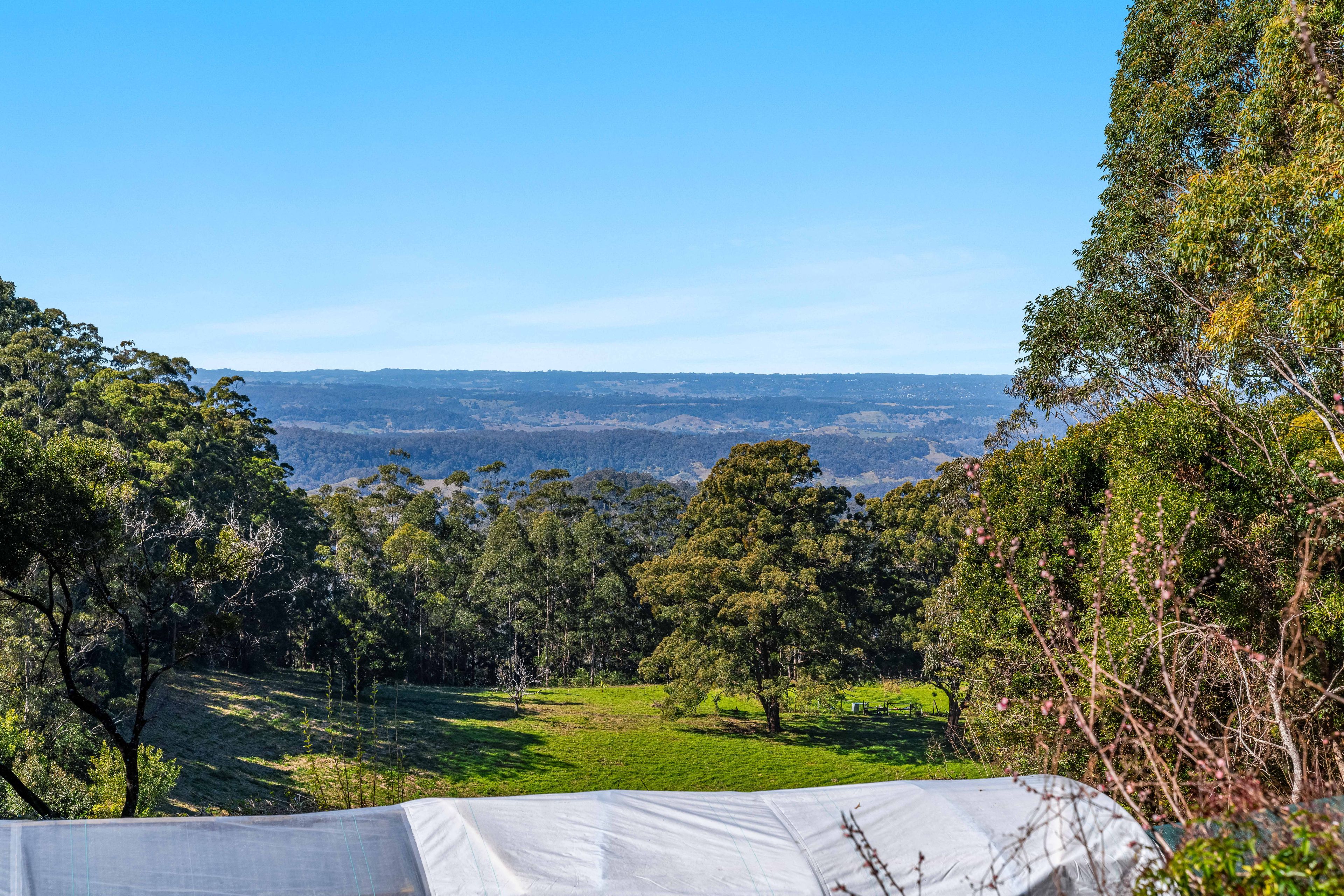 930 O'Neill Road, Bentley, NSW 2480