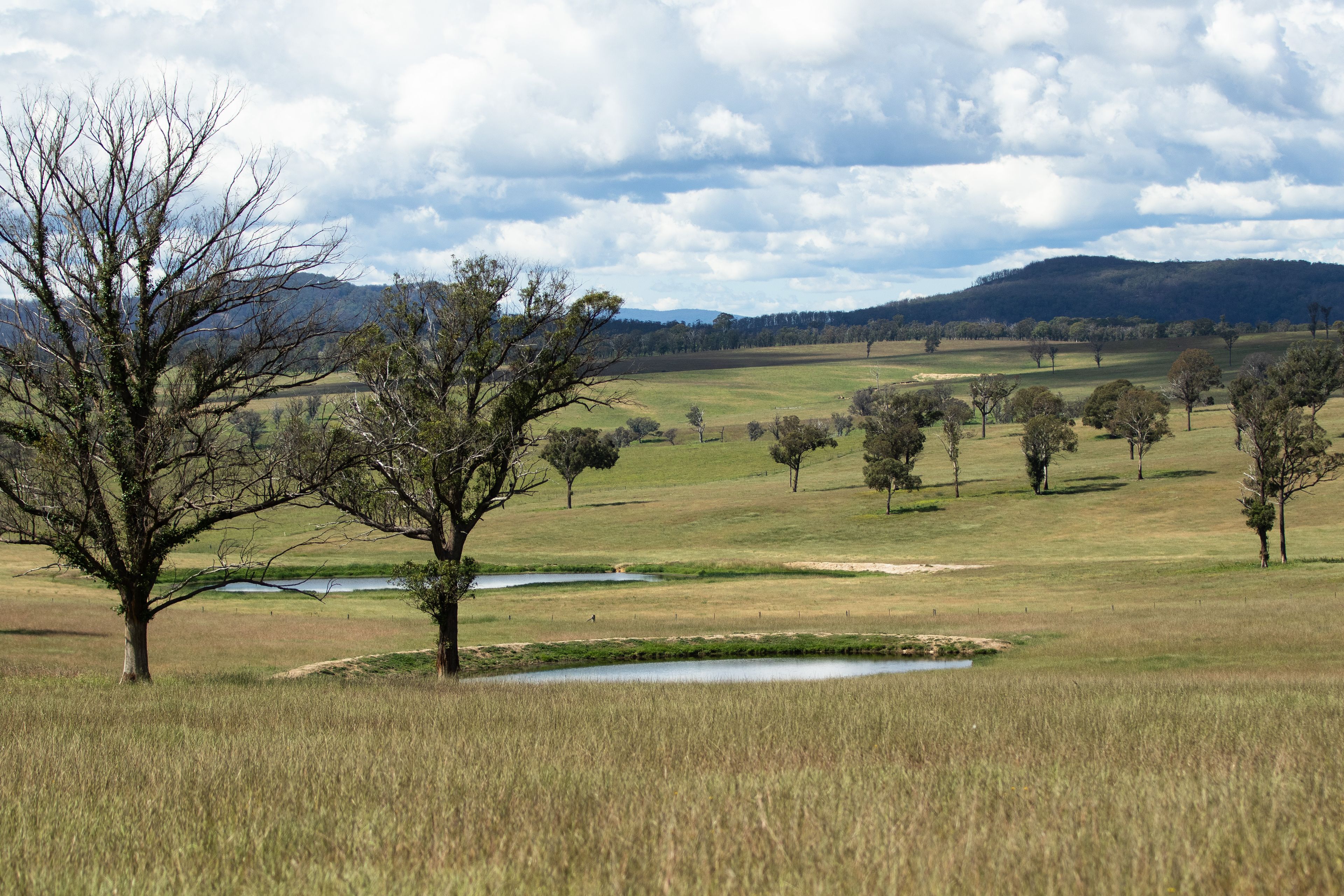 "Serendipity" 13566 Oxley Highway, Walcha, NSW 2354 Sold Rural