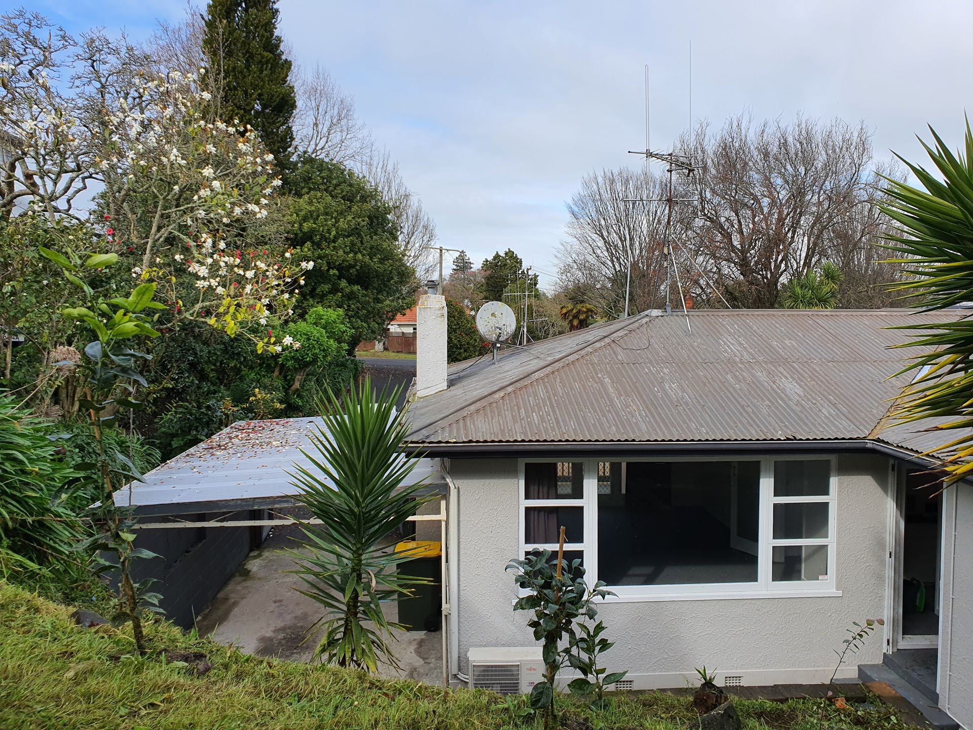 15a Te Aroha Street, Claudelands, Hamilton City