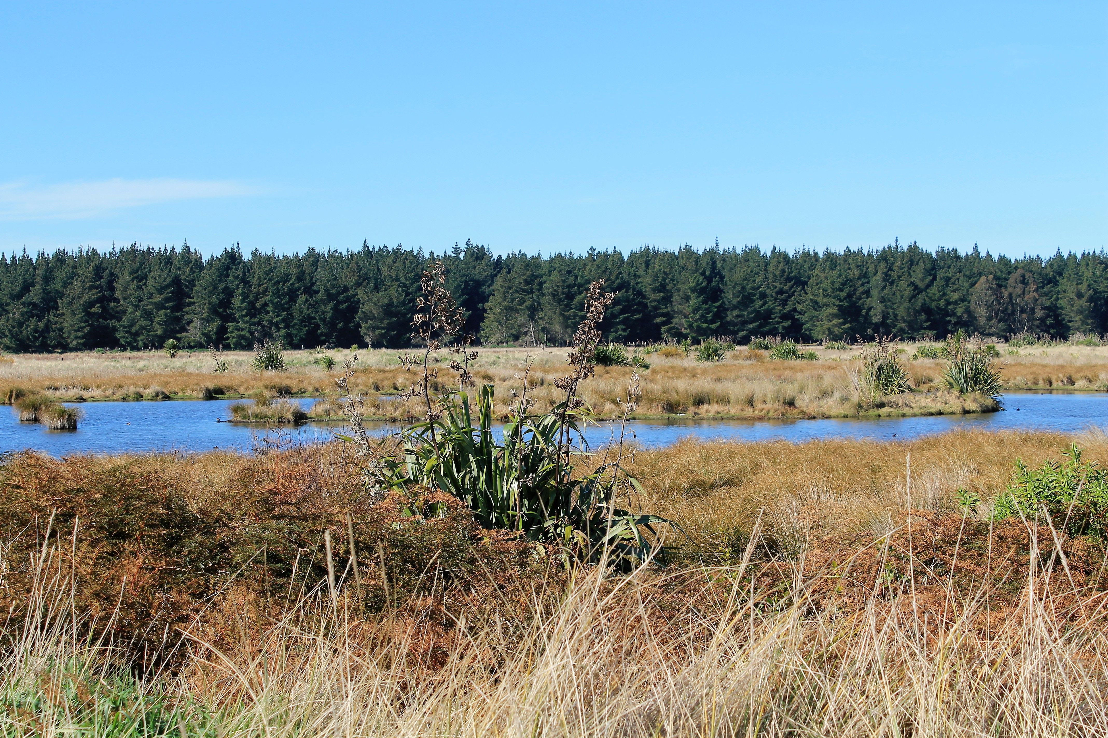 66 Te Kohanga Drive, Pegasus, Waimakariri District