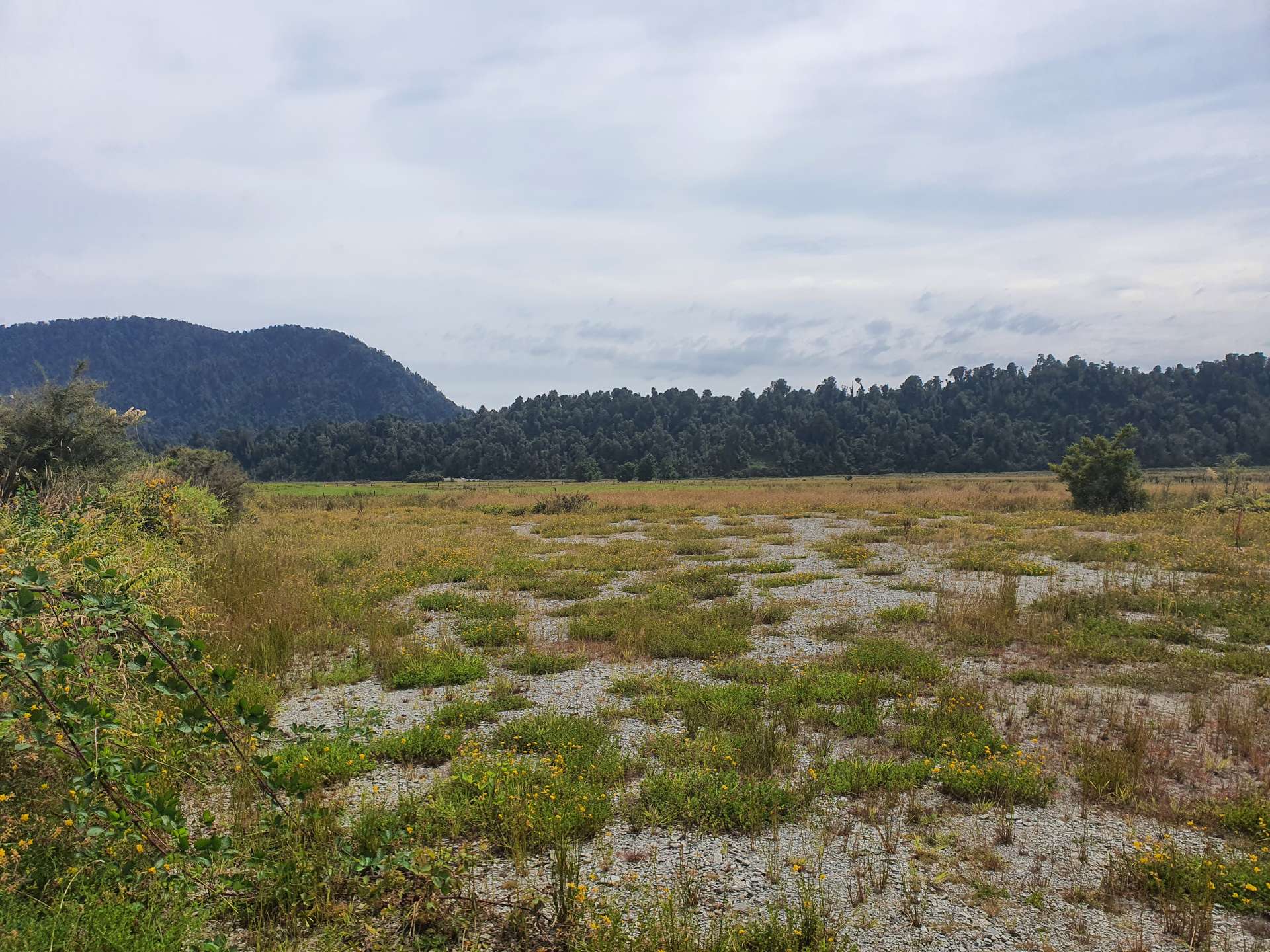 Lot 1 State Highway 6, Tatare photo 5