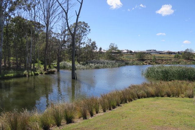 18 Burrell Road, Spring Farm, NSW Land For Sale Residential Land Sold