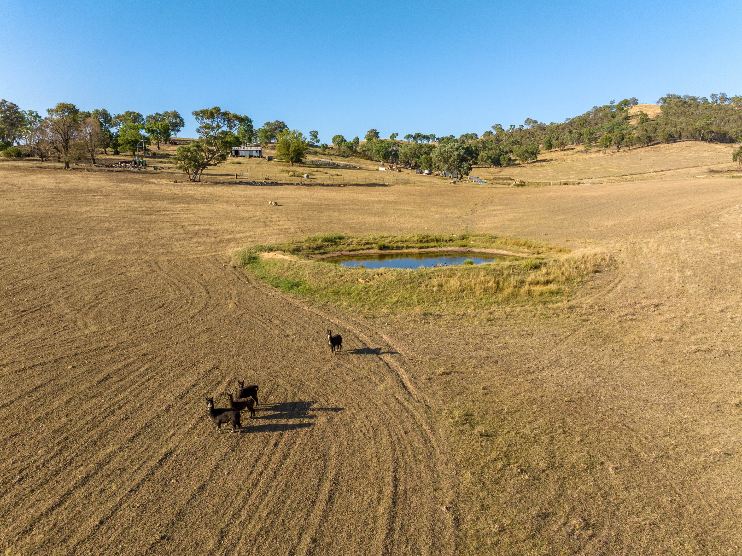 2543 Westbrook Road, Oberne Creek, NSW 2650