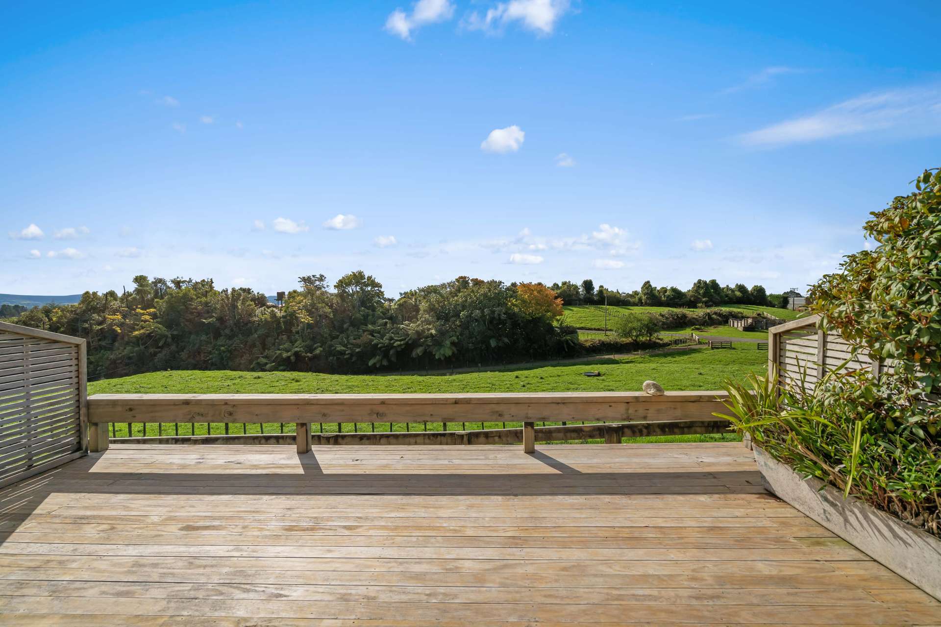 33 Williams Road North photo 23