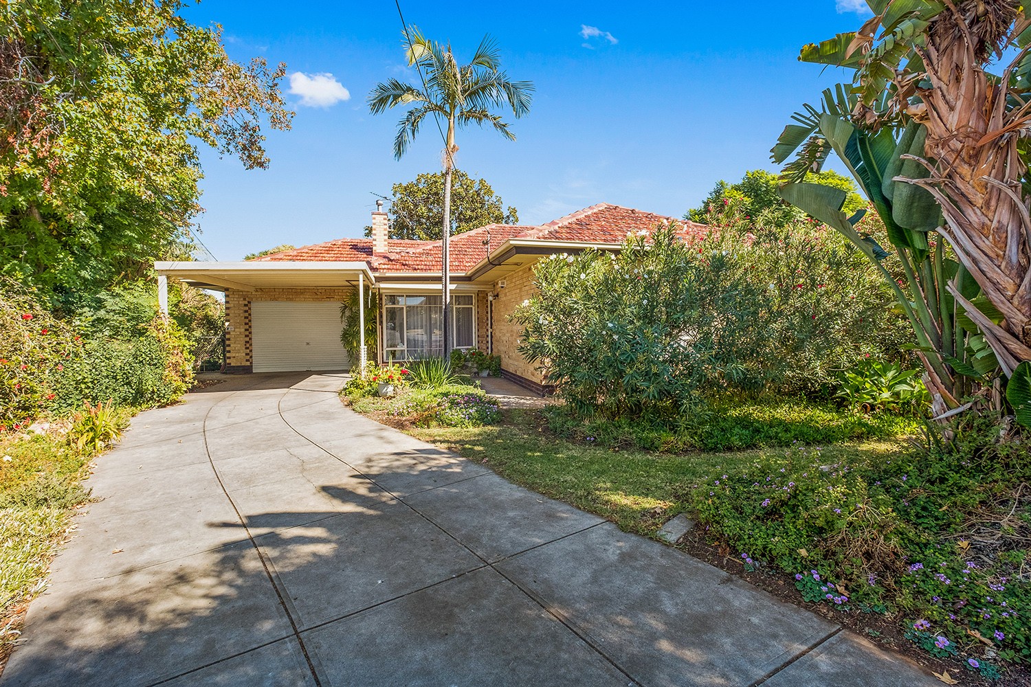 14 Wisdom Street, Seaton, SA 5023
