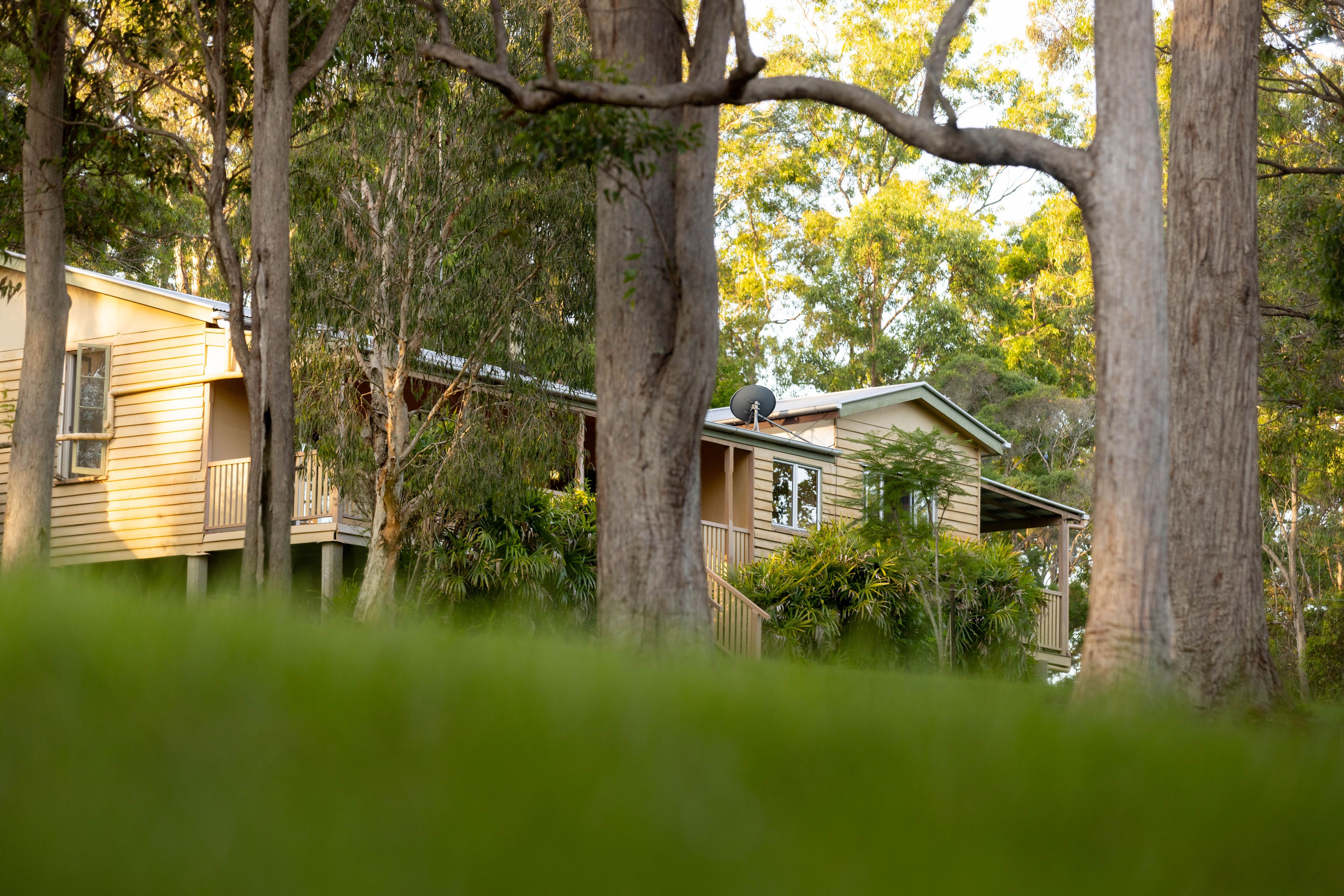 124 Sandy Creek Road, Victory Heights, QLD 4570 Acreage/SemiRural