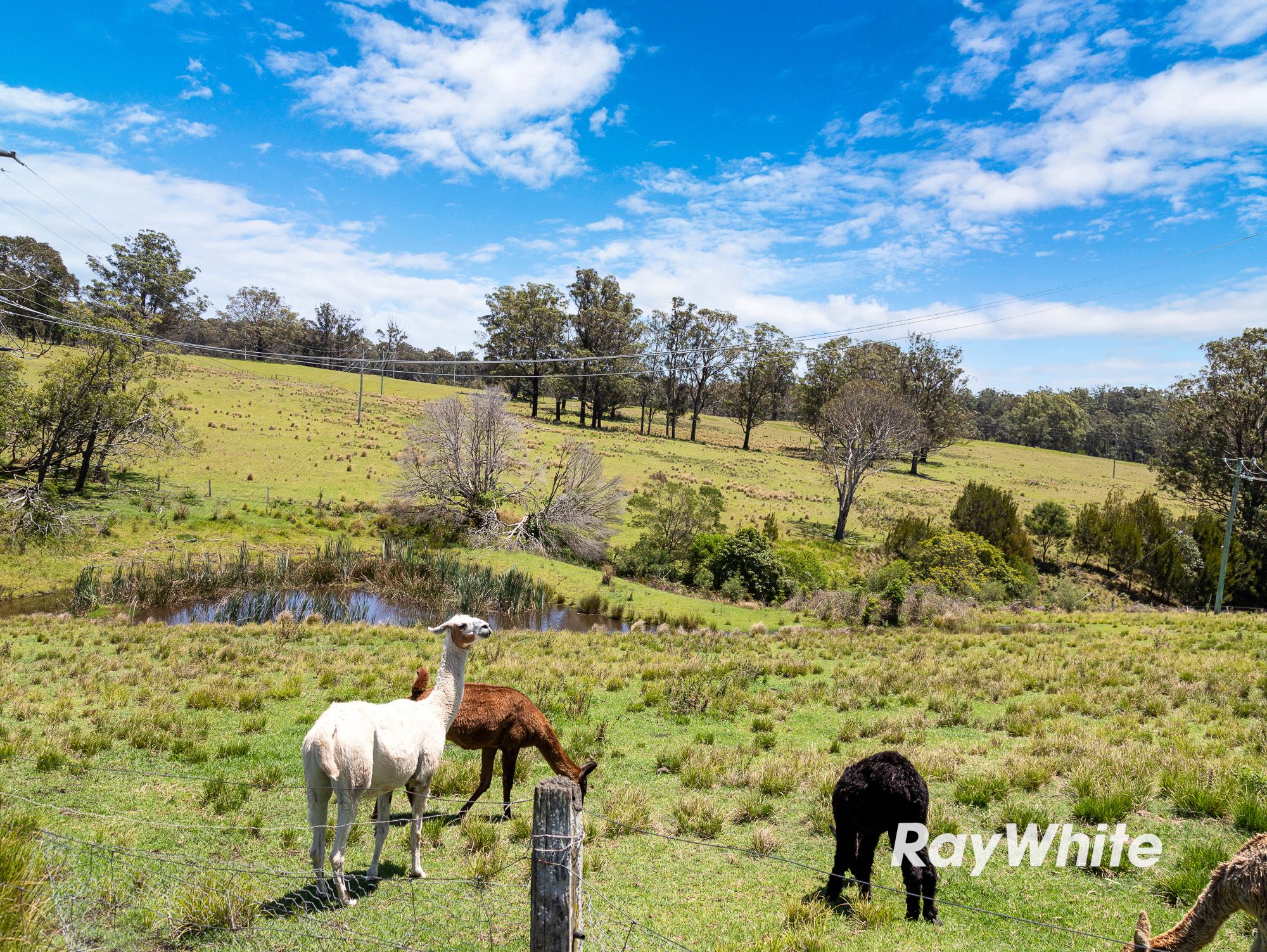 4070 Princes Highway — photo 10 of 21