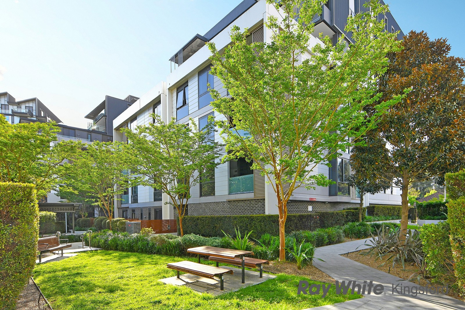 151/1 William Street, Lewisham, NSW 2049