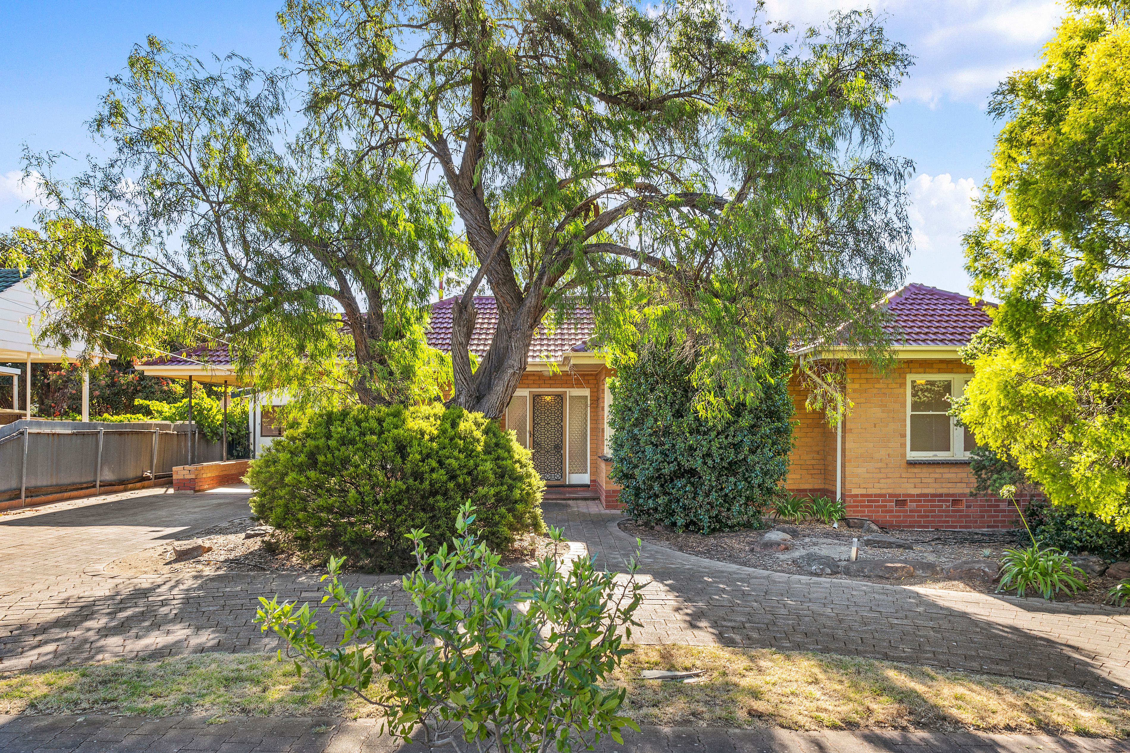 7 Pope Street, Newton, SA 5074