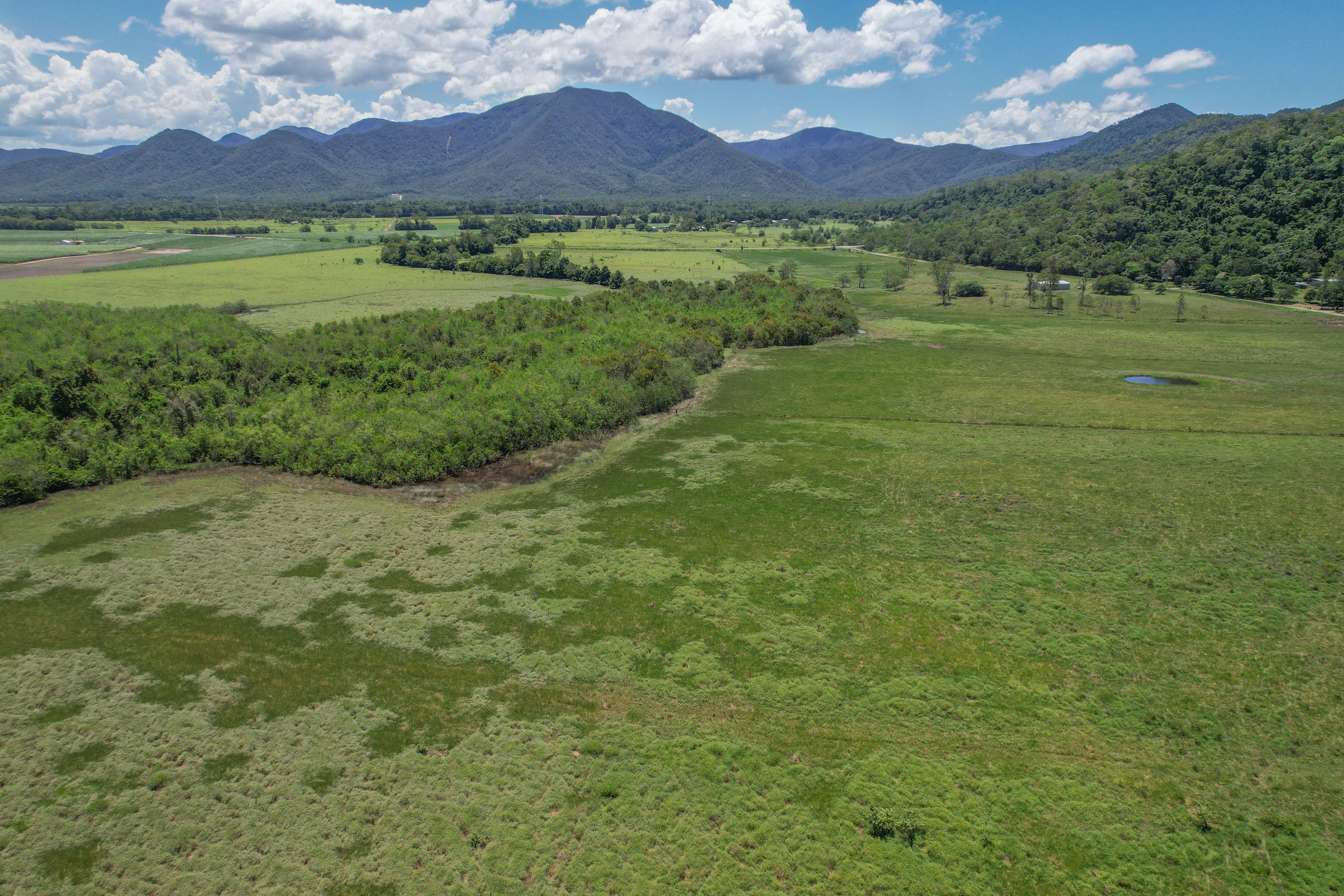 Lot 2 Bruce Highway — photo 7 of 19