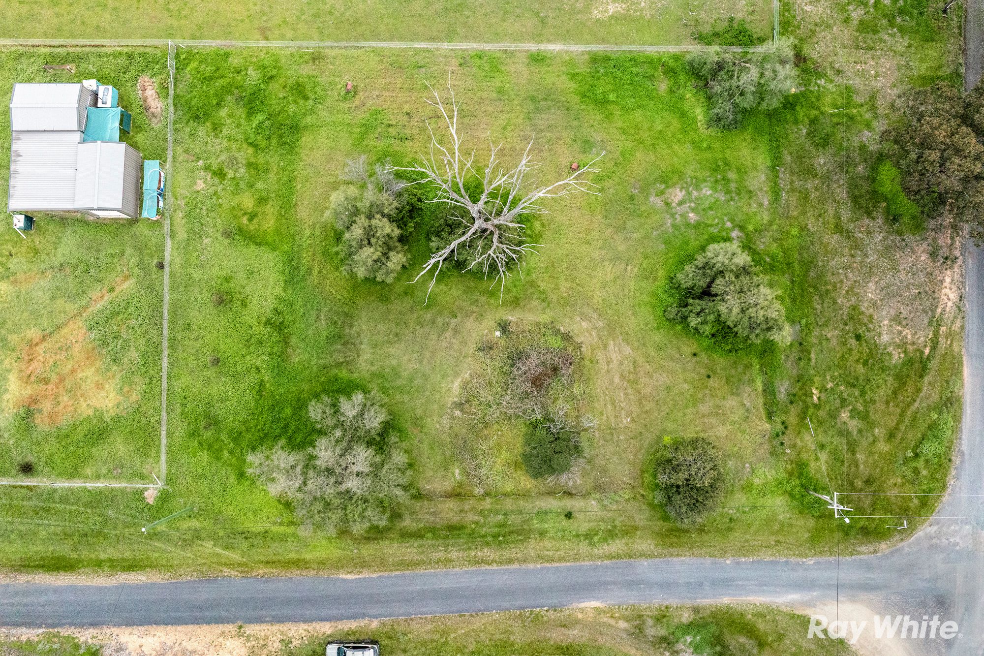 40 White Street — photo from Ray White Junee