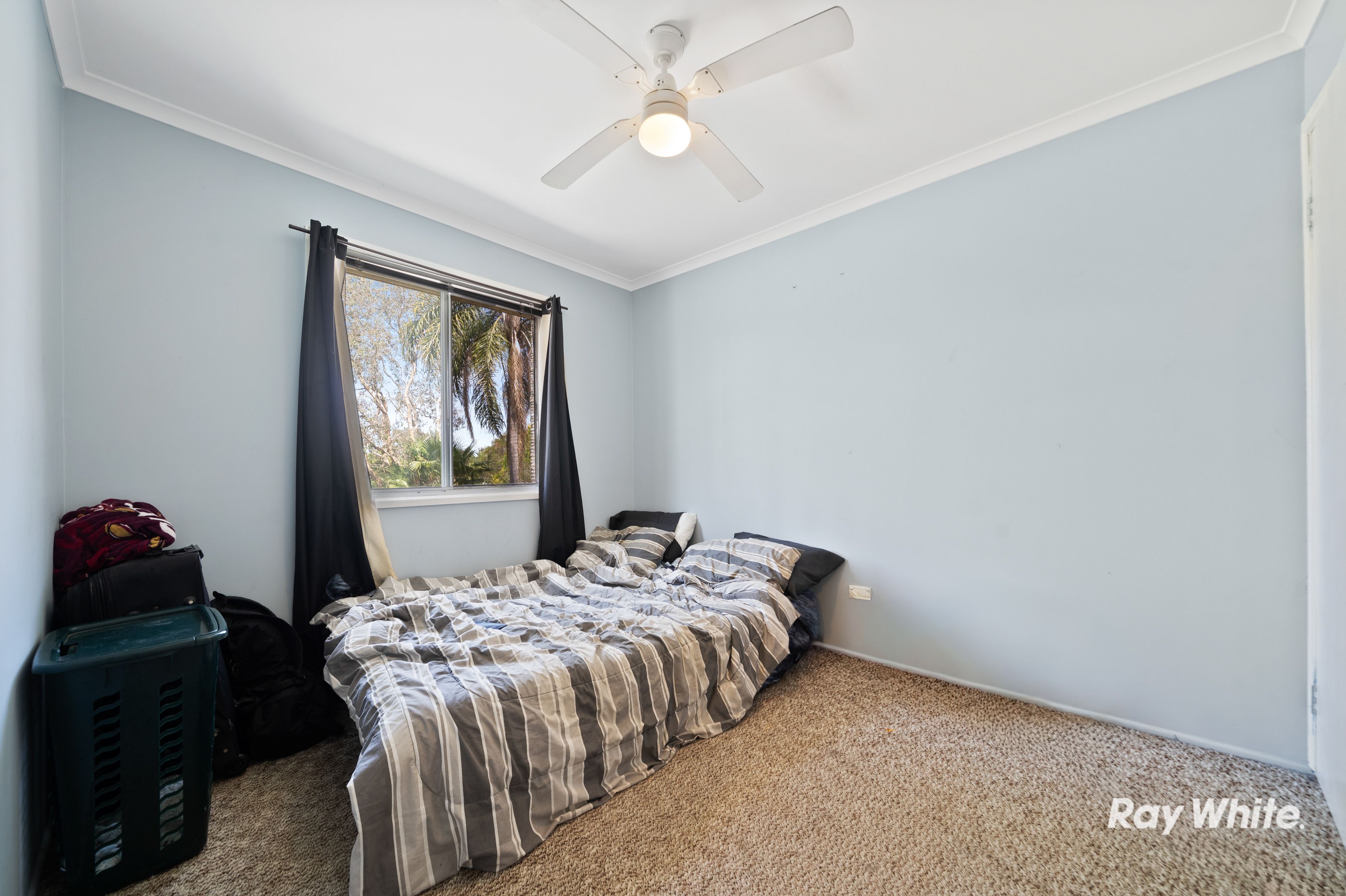 16 Augusta Street — photo 7 of 19