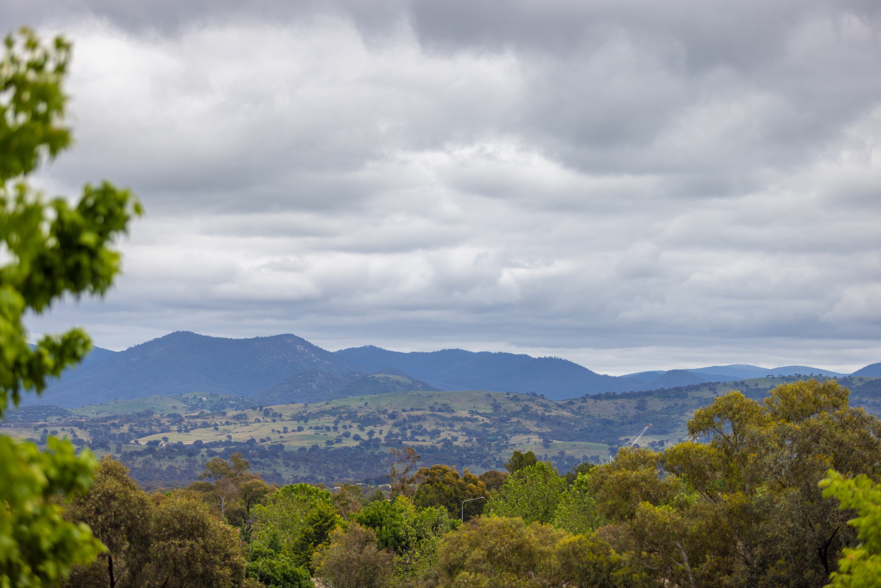 50 Coningham Street, Gowrie, ACT 2904