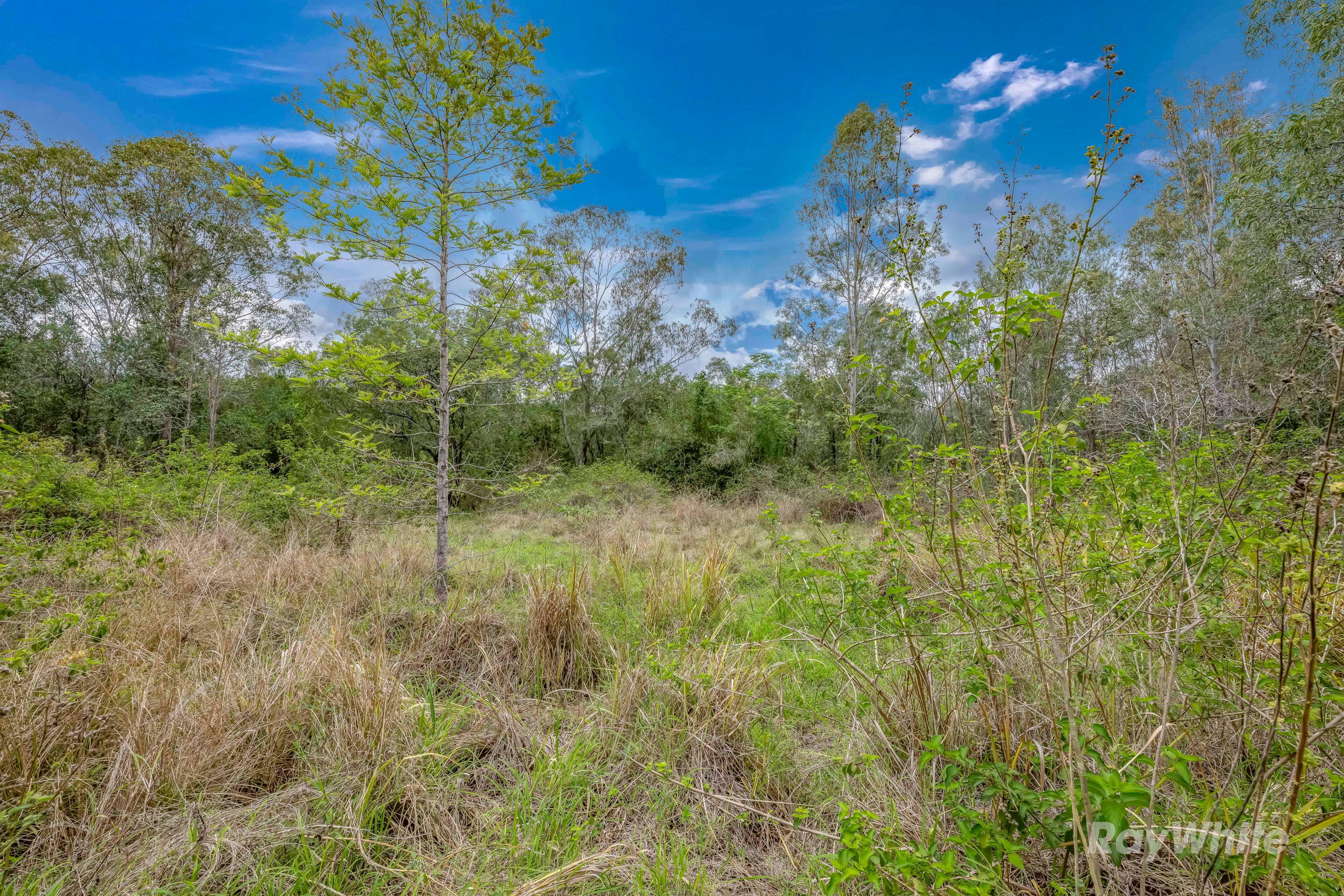 Lot 3 Gaeta Road — photo 5 of 17