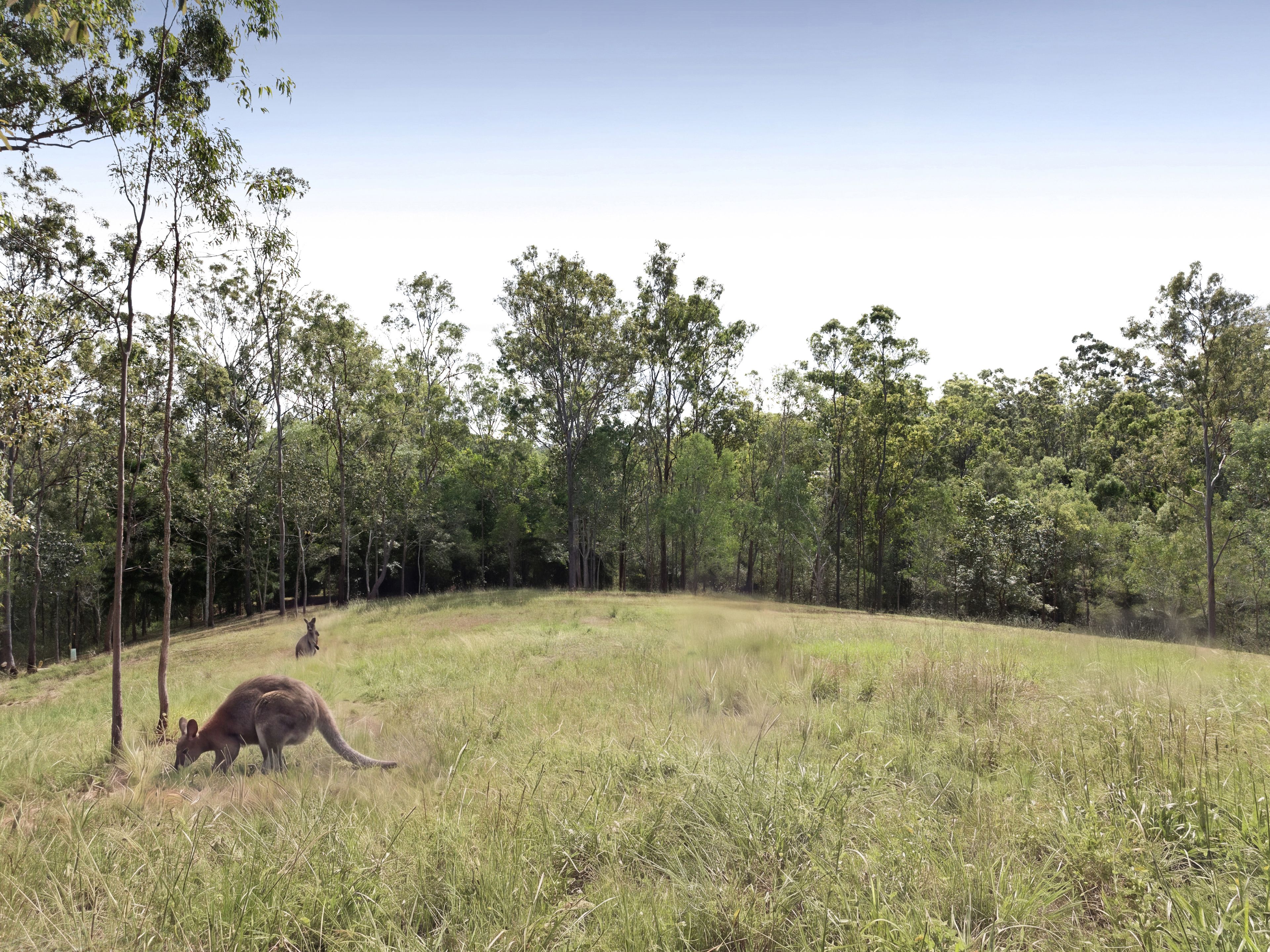 27 York Street, Mount Crosby, QLD 4306