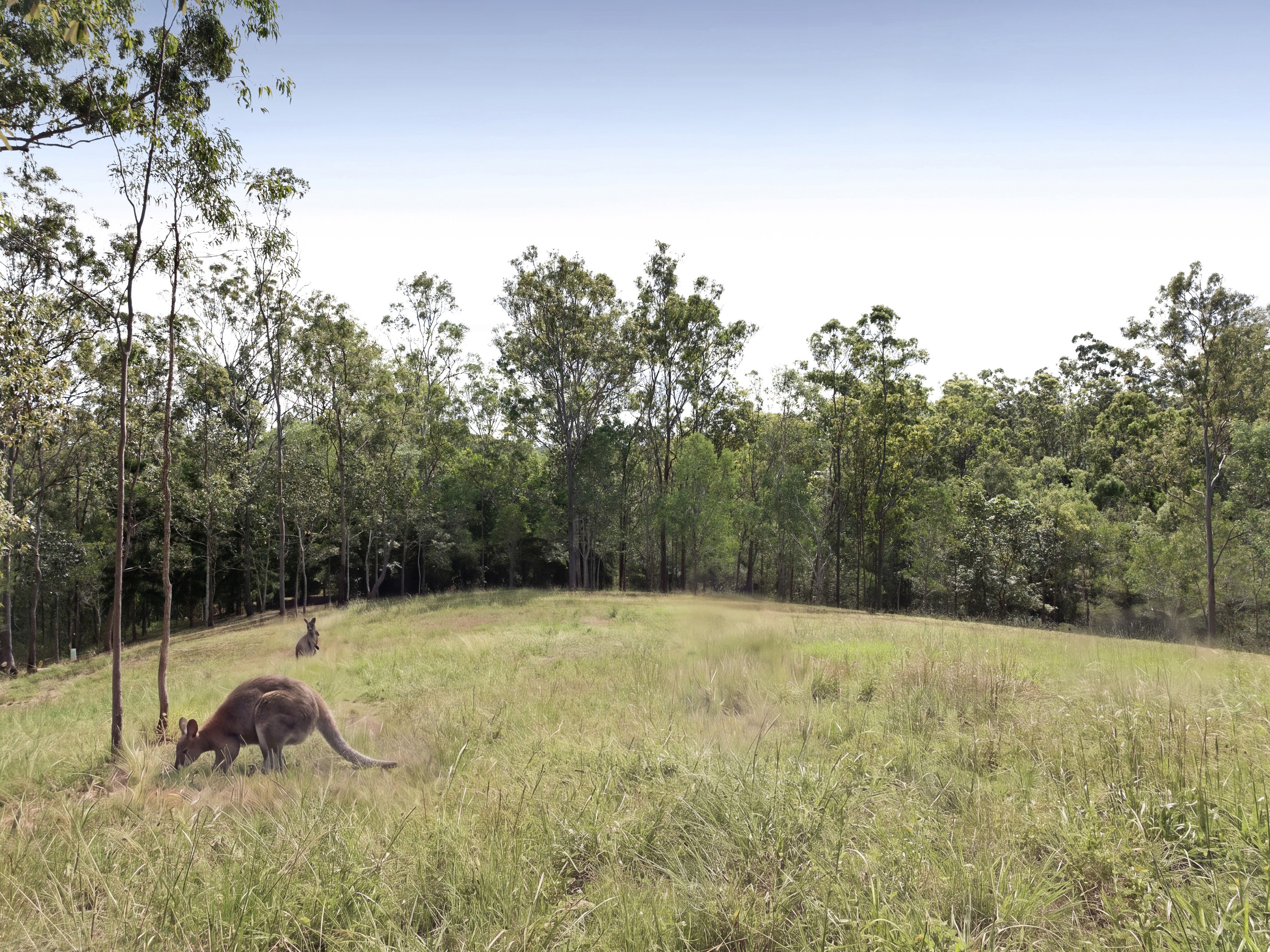 27 York Street, Mount Crosby, QLD 4306