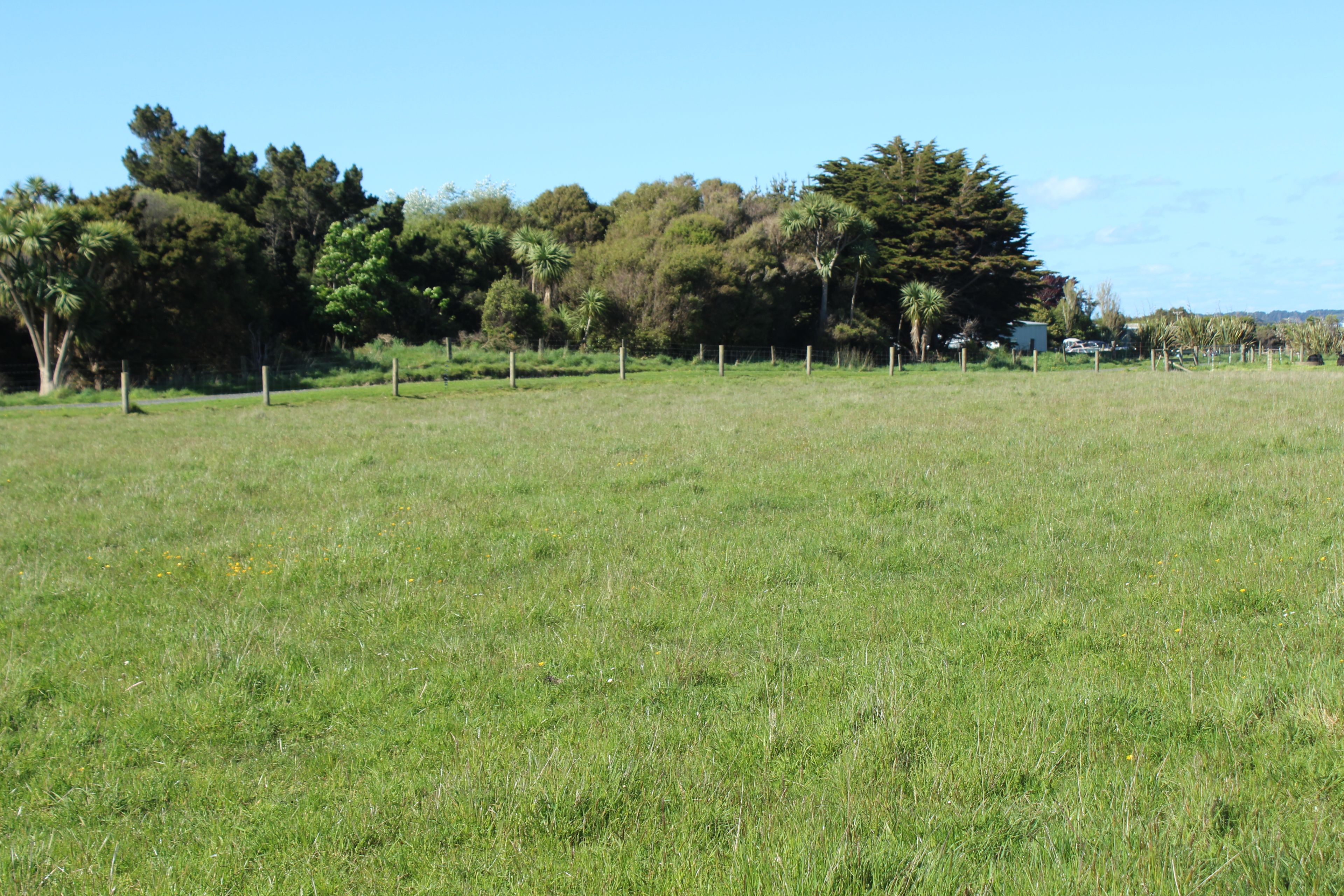 46 Kennedy Way, Otatara, Invercargill