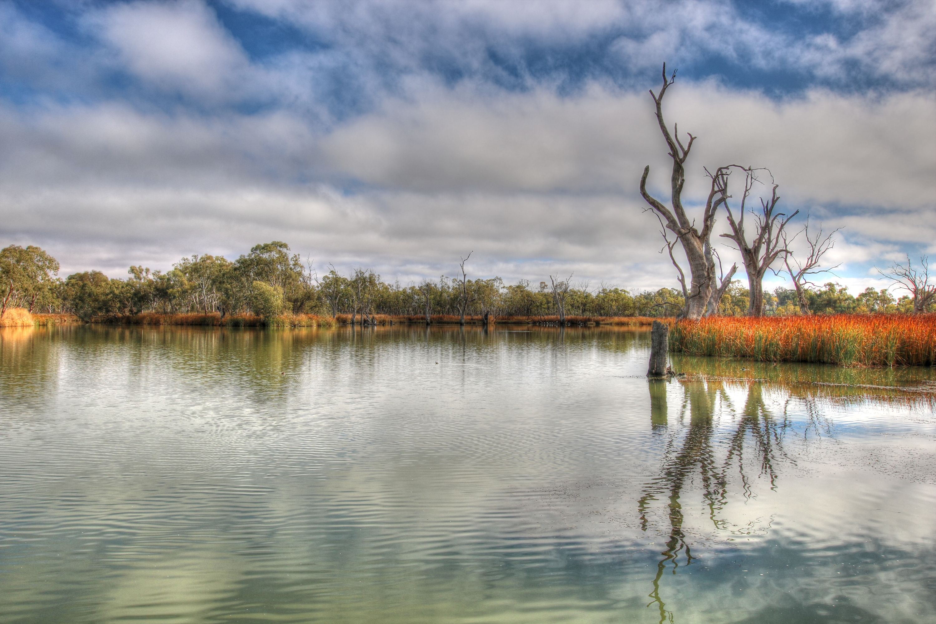 Site 14A Cobdogla Caravan Park, Cobdogla, SA 5346