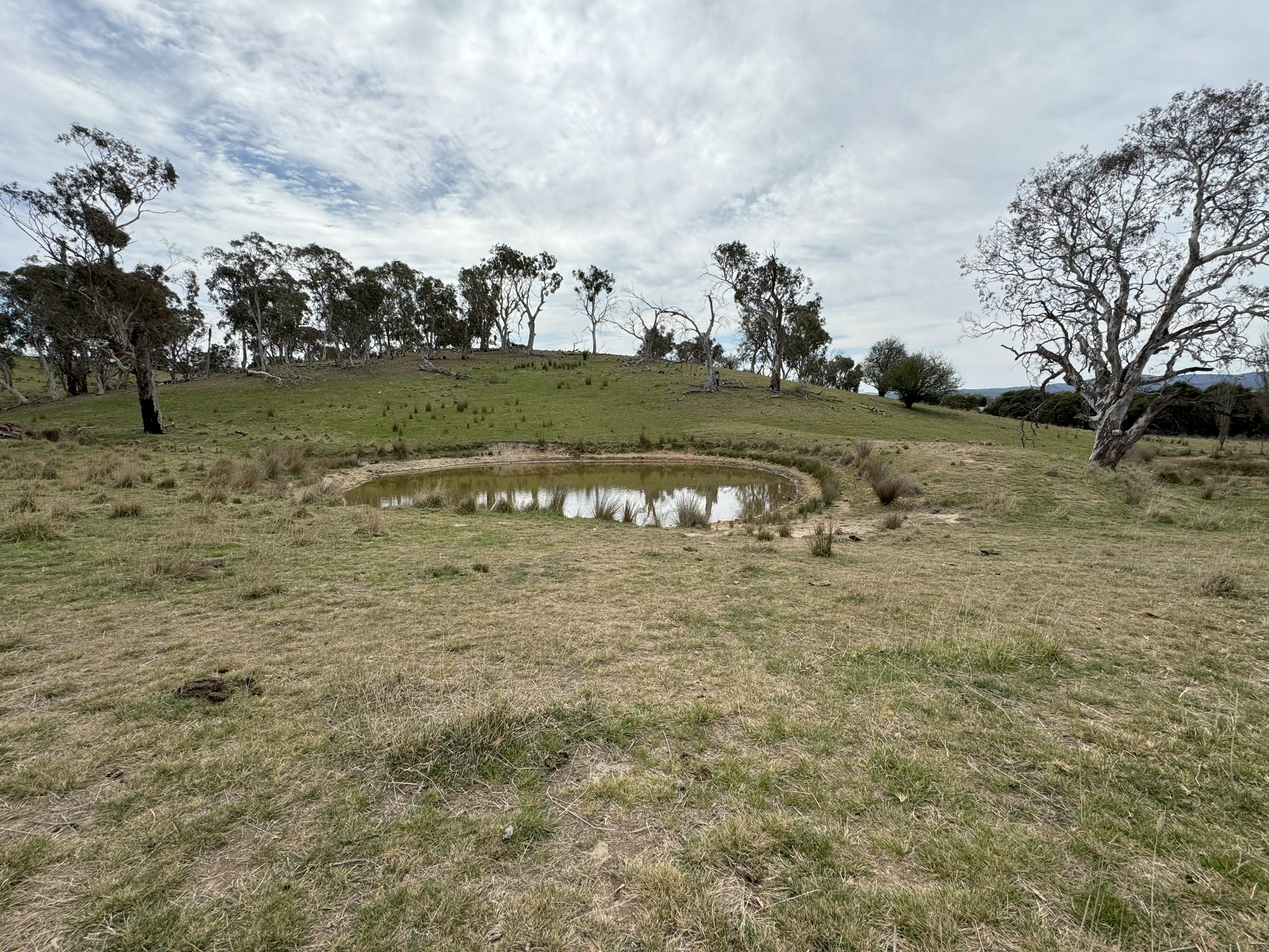 1752 Captains Flat Road, Carwoola, NSW 2620