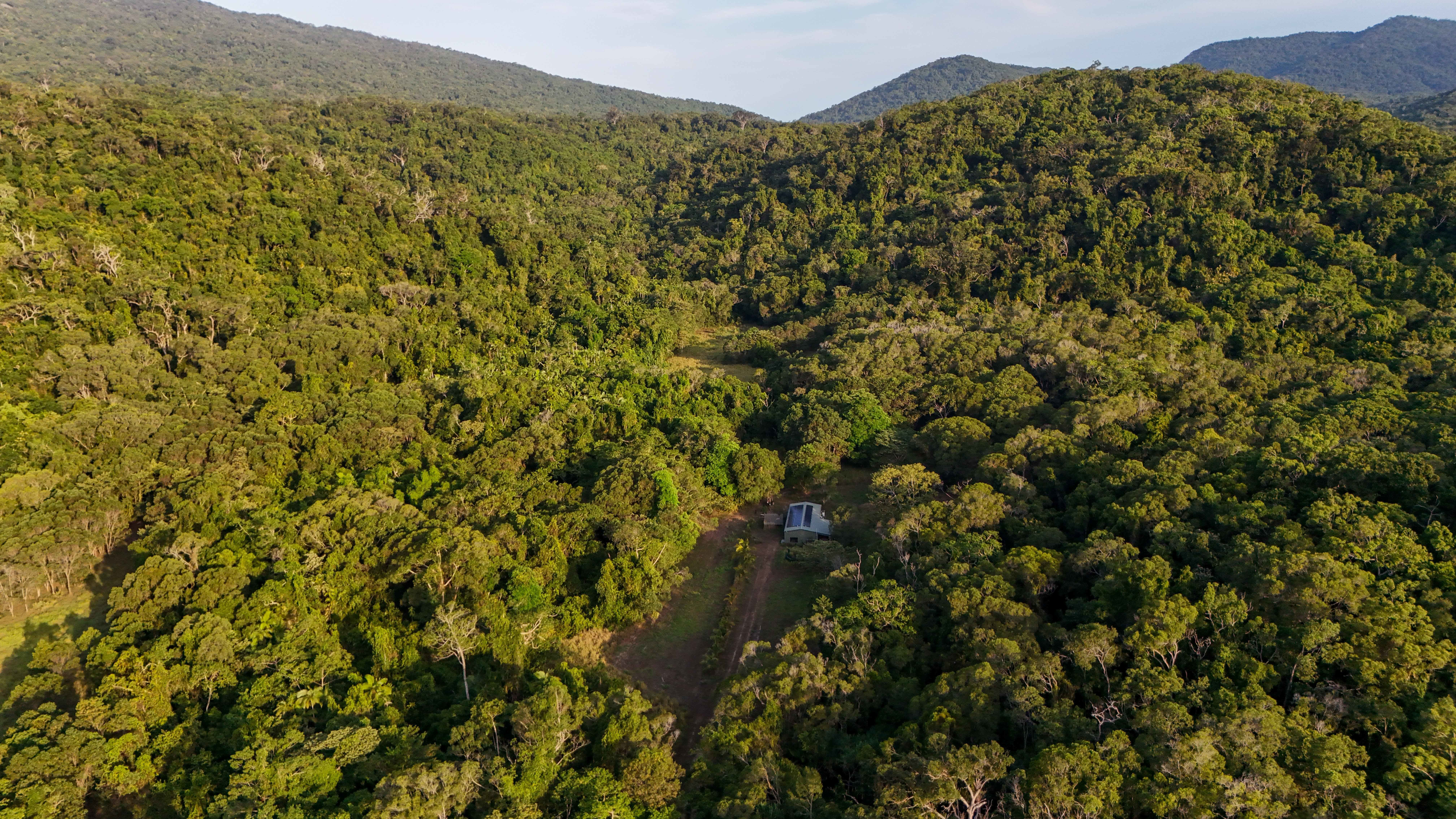 Create Your Idyllic Lifestyle to Include Future Potential Income on 342 acres — photo 26 of 30