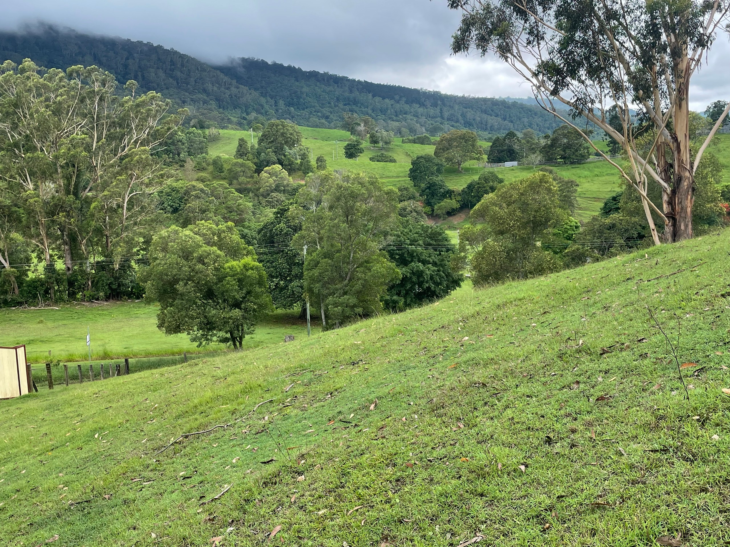 533 Mount Brisbane Road, Mount Pleasant, QLD 4521