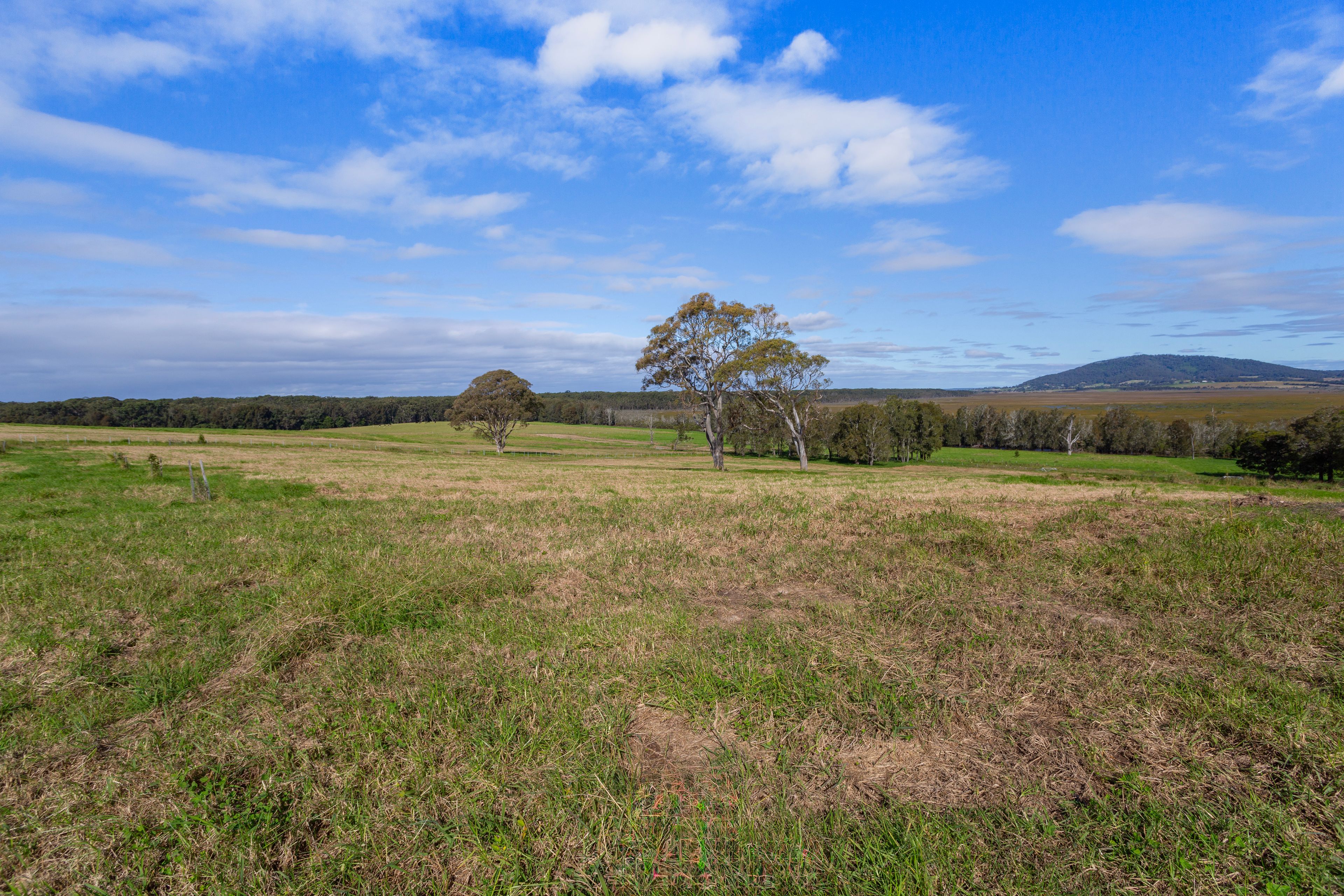 14 Serenity Ridge, Berry, NSW 2535 Land for Sale Ray White Gerringong
