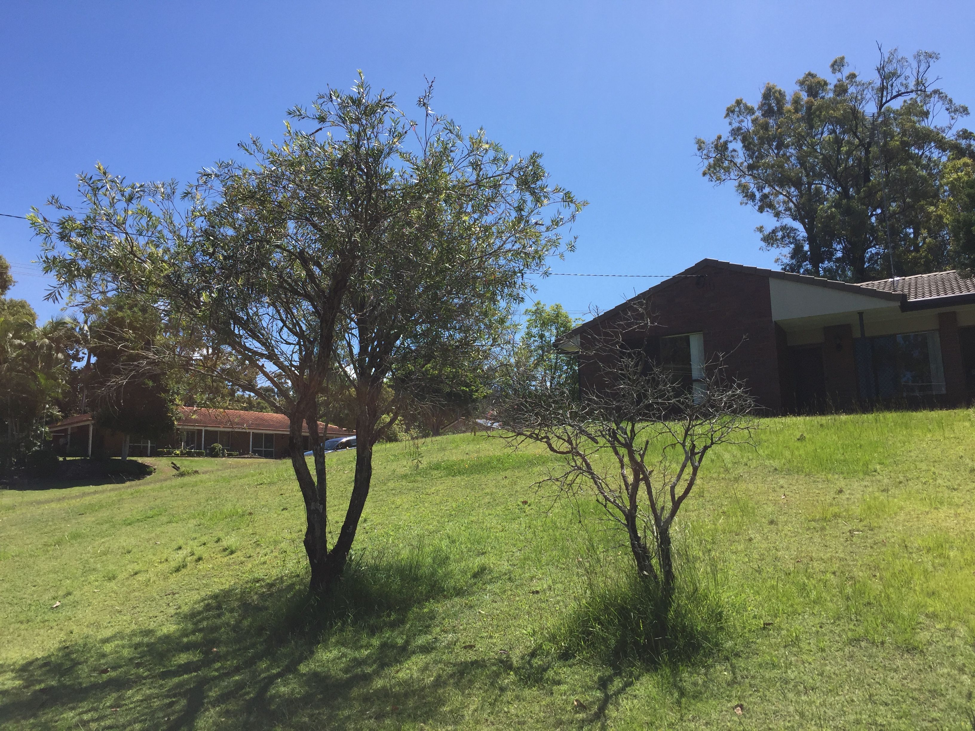3 Woodlands Way, Parkwood, QLD 4214
