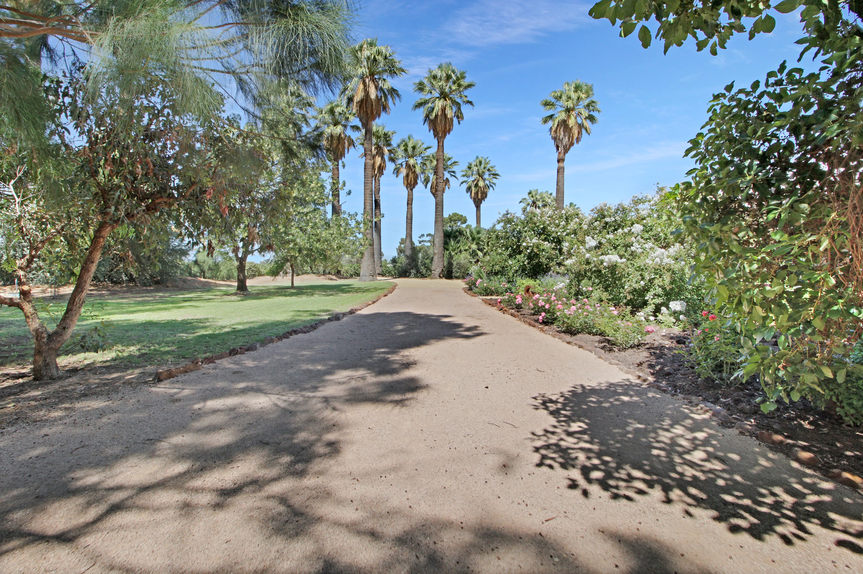7 Etiwanda Street, Renmark, SA 5341