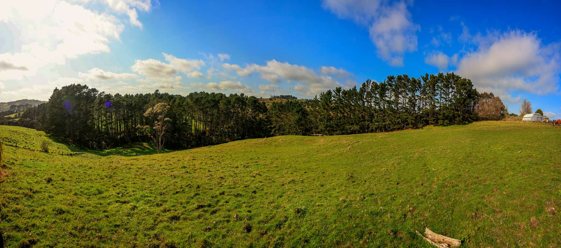 605 Whitford-Maraetai Road photo 7