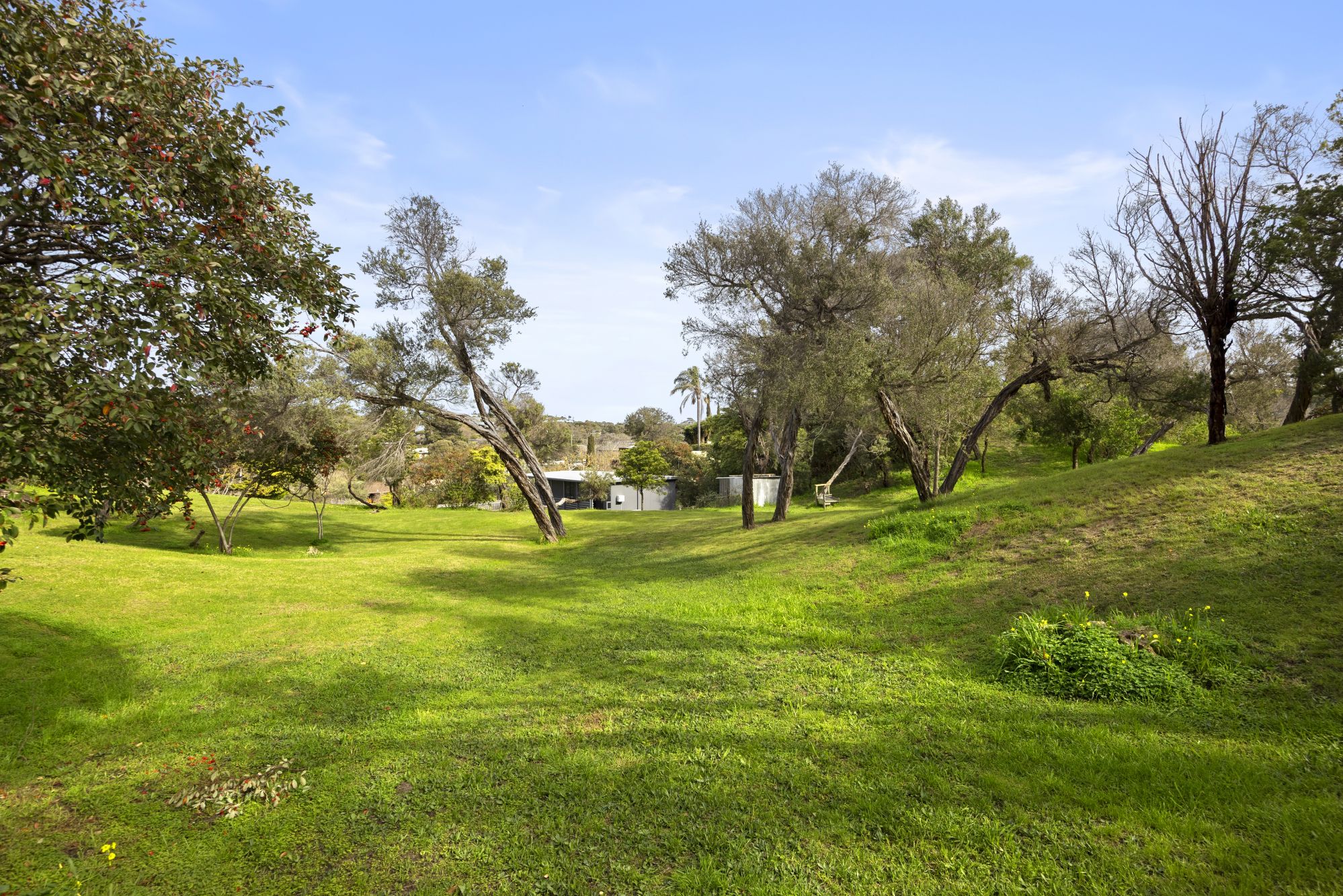 8 Kanimbla Court — photo 10 of 17