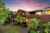 26 Arran Road photo 0